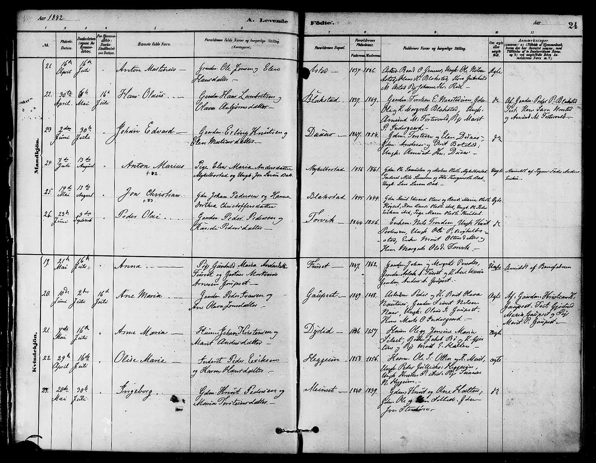 Ministerialprotokoller, klokkerbøker og fødselsregistre - Møre og Romsdal, SAT/A-1454/584/L0967: Ministerialbok nr. 584A07, 1879-1894, s. 24