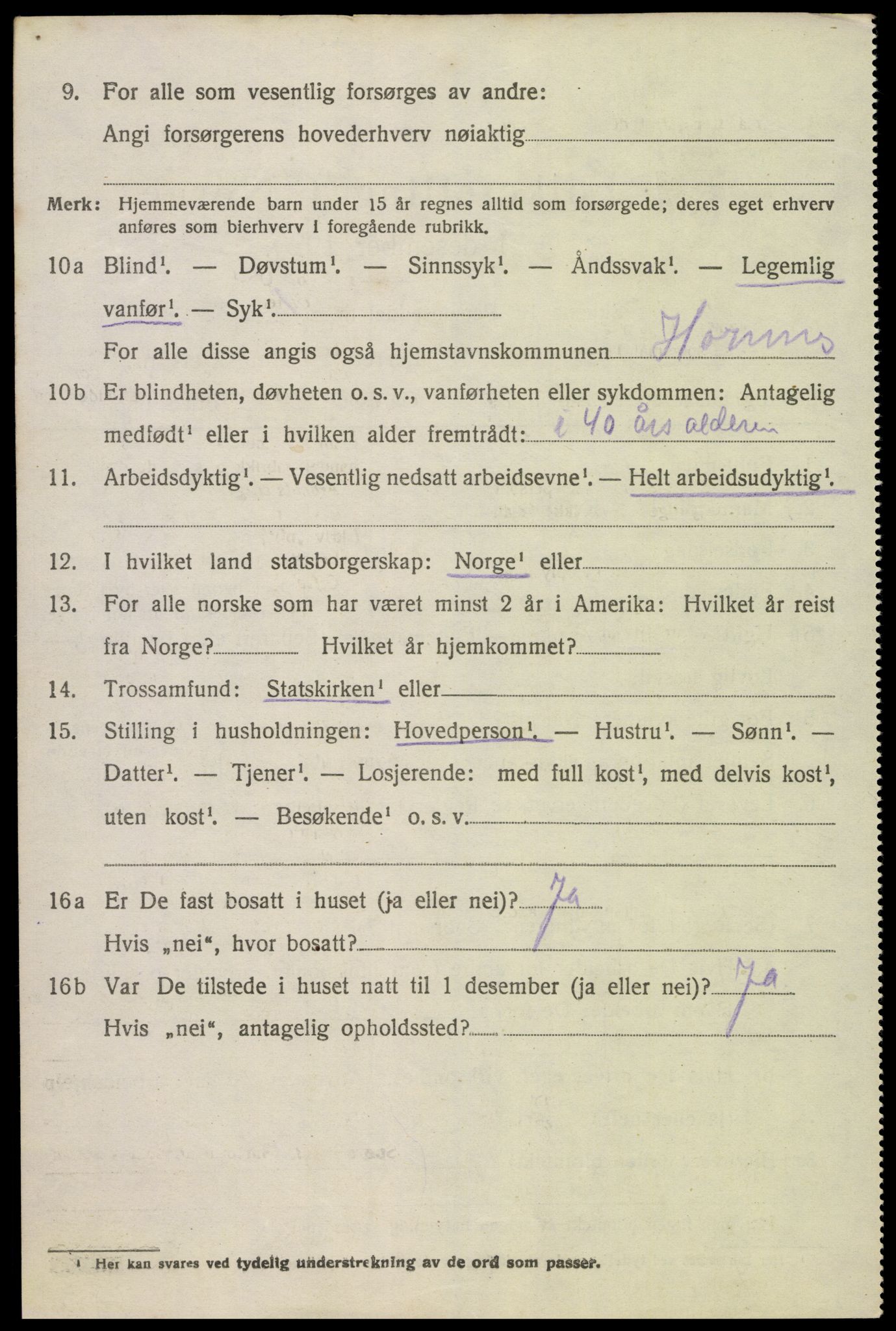 SAK, Folketelling 1920 for 0936 Hornnes herred, 1920, s. 896