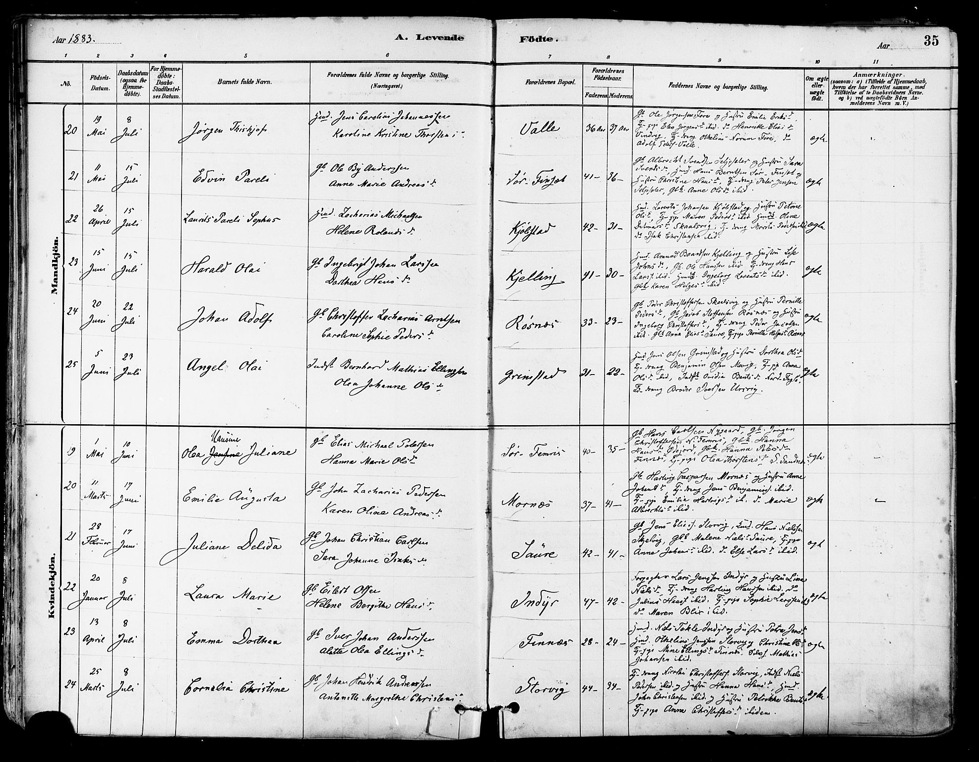 Ministerialprotokoller, klokkerbøker og fødselsregistre - Nordland, AV/SAT-A-1459/805/L0099: Ministerialbok nr. 805A06, 1880-1891, s. 35