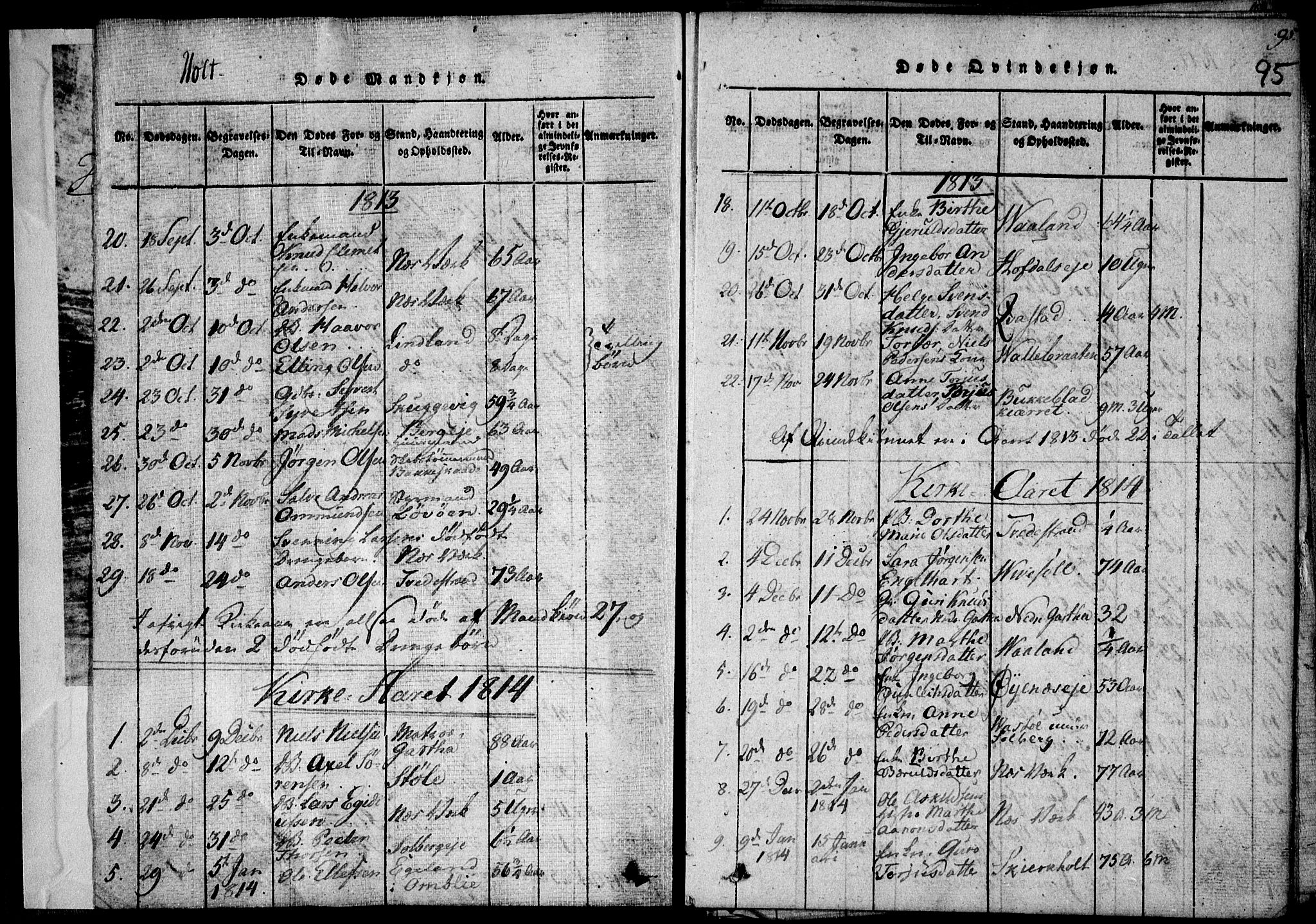Holt sokneprestkontor, AV/SAK-1111-0021/F/Fa/L0005: Ministerialbok nr. A 5, 1813-1821, s. 95