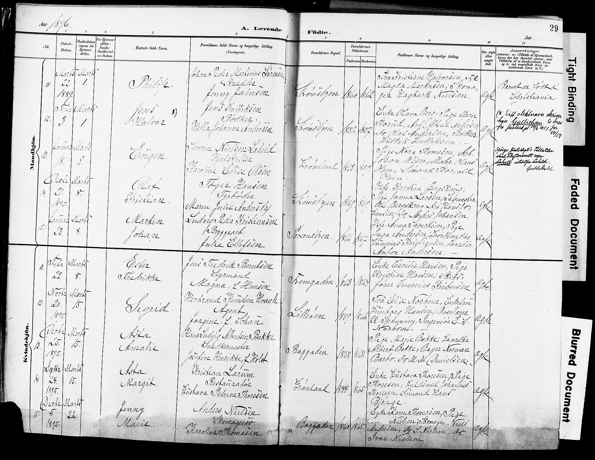 Strømsø kirkebøker, AV/SAKO-A-246/G/Ga/L0003: Klokkerbok nr. 3, 1894-1904, s. 29