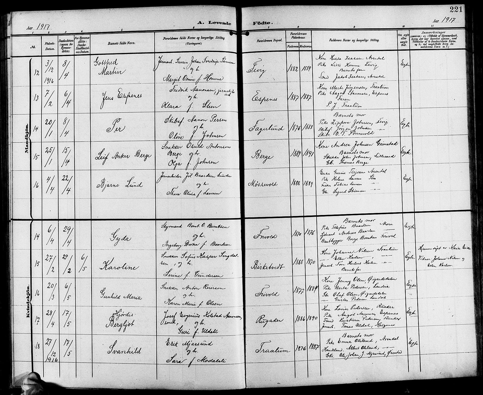 Fjære sokneprestkontor, AV/SAK-1111-0011/F/Fb/L0012: Klokkerbok nr. B 12, 1902-1925, s. 221