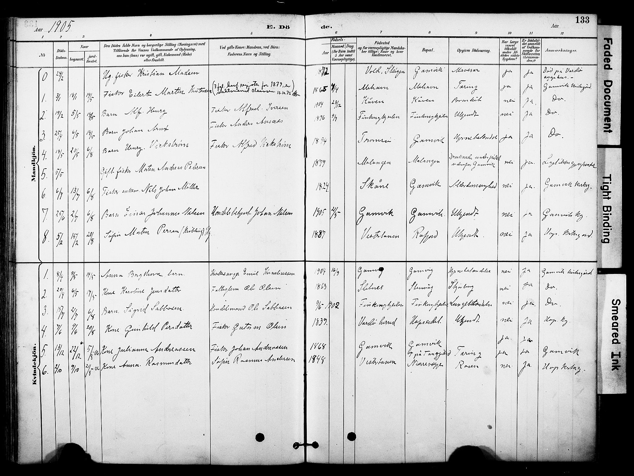 Tana sokneprestkontor, AV/SATØ-S-1334/H/Ha/L0006kirke: Ministerialbok nr. 6, 1892-1908, s. 133