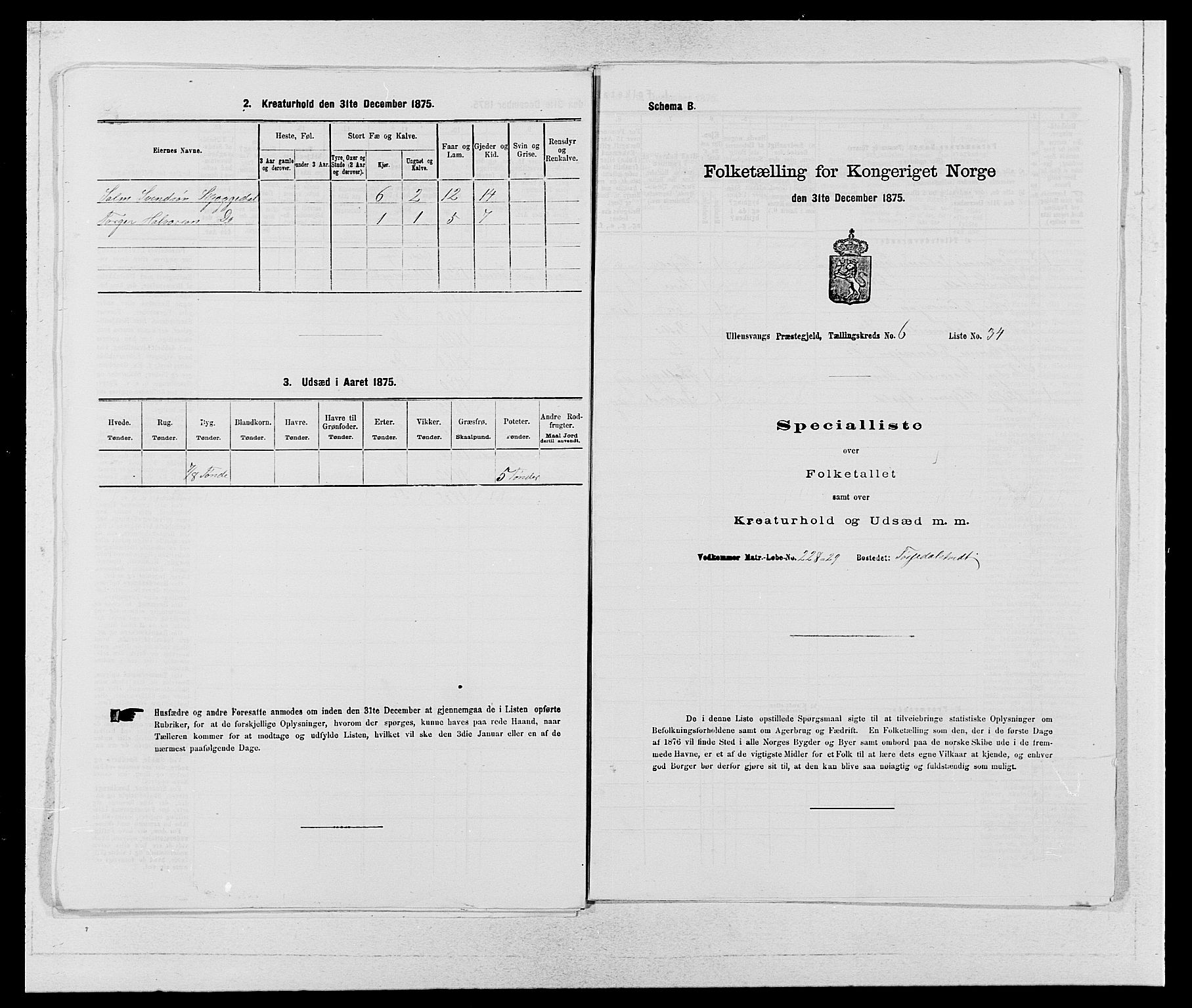 SAB, Folketelling 1875 for 1230P Ullensvang prestegjeld, 1875, s. 569