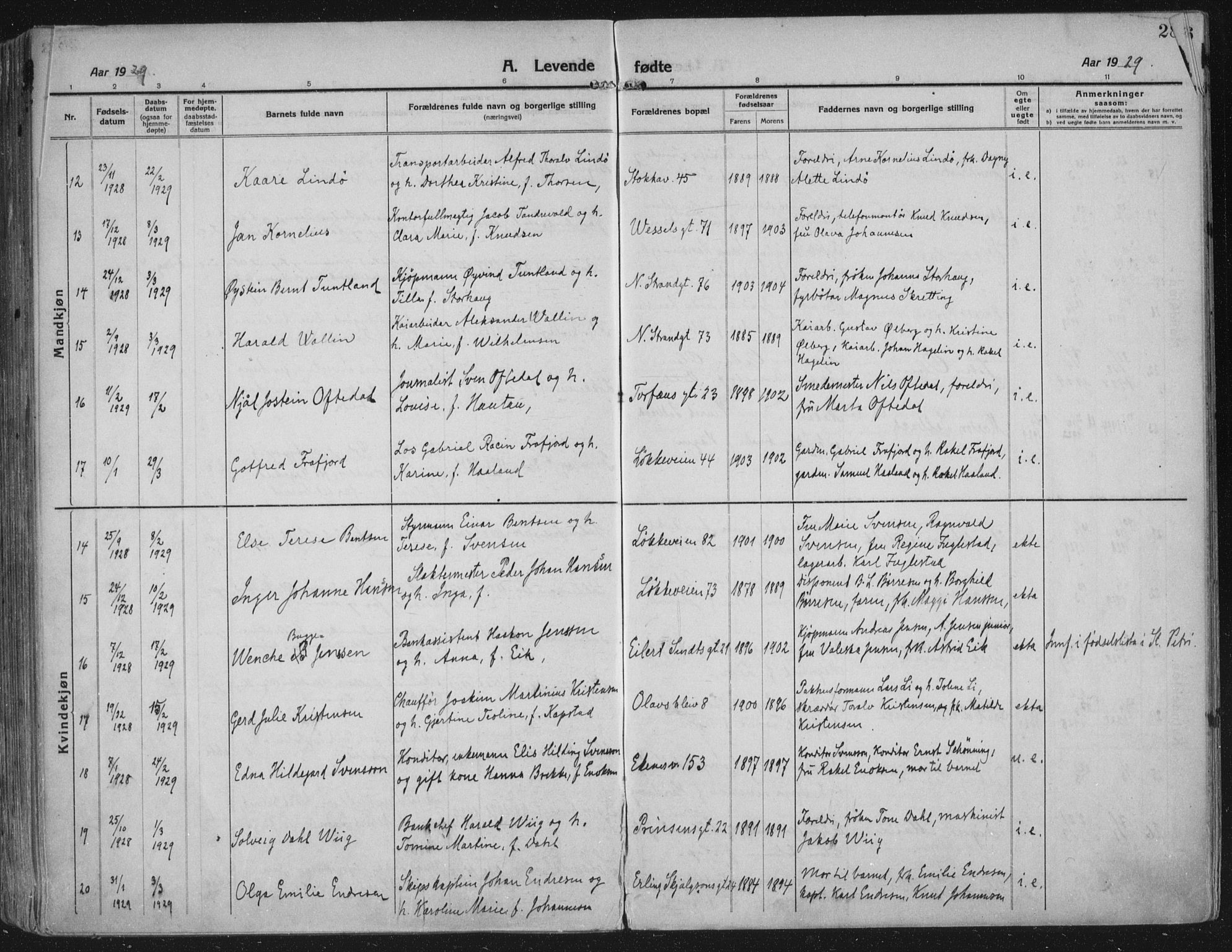 Domkirken sokneprestkontor, AV/SAST-A-101812/002/A/L0018: Ministerialbok nr. A 34, 1915-1929, s. 284