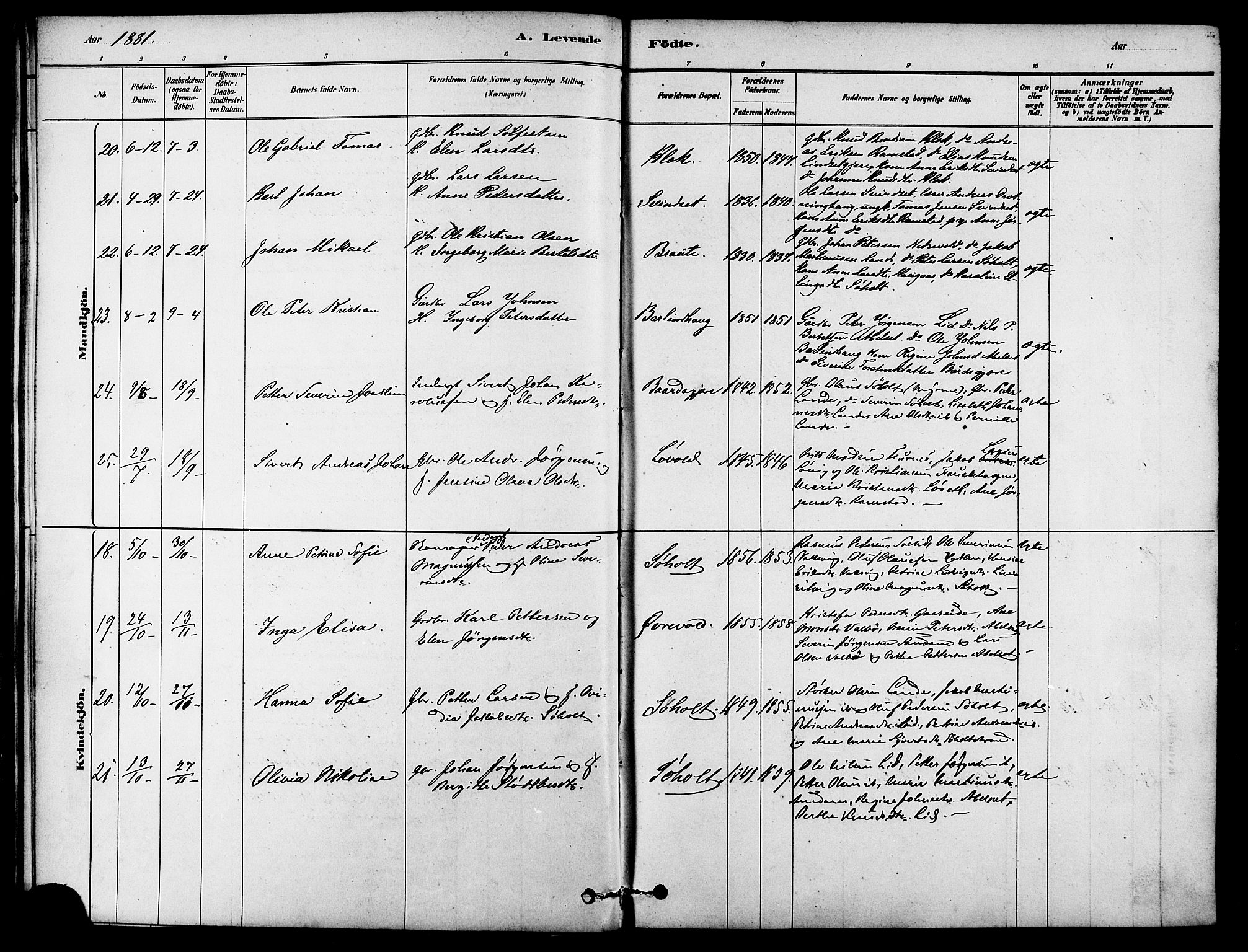 Ministerialprotokoller, klokkerbøker og fødselsregistre - Møre og Romsdal, AV/SAT-A-1454/522/L0315: Ministerialbok nr. 522A10, 1878-1890