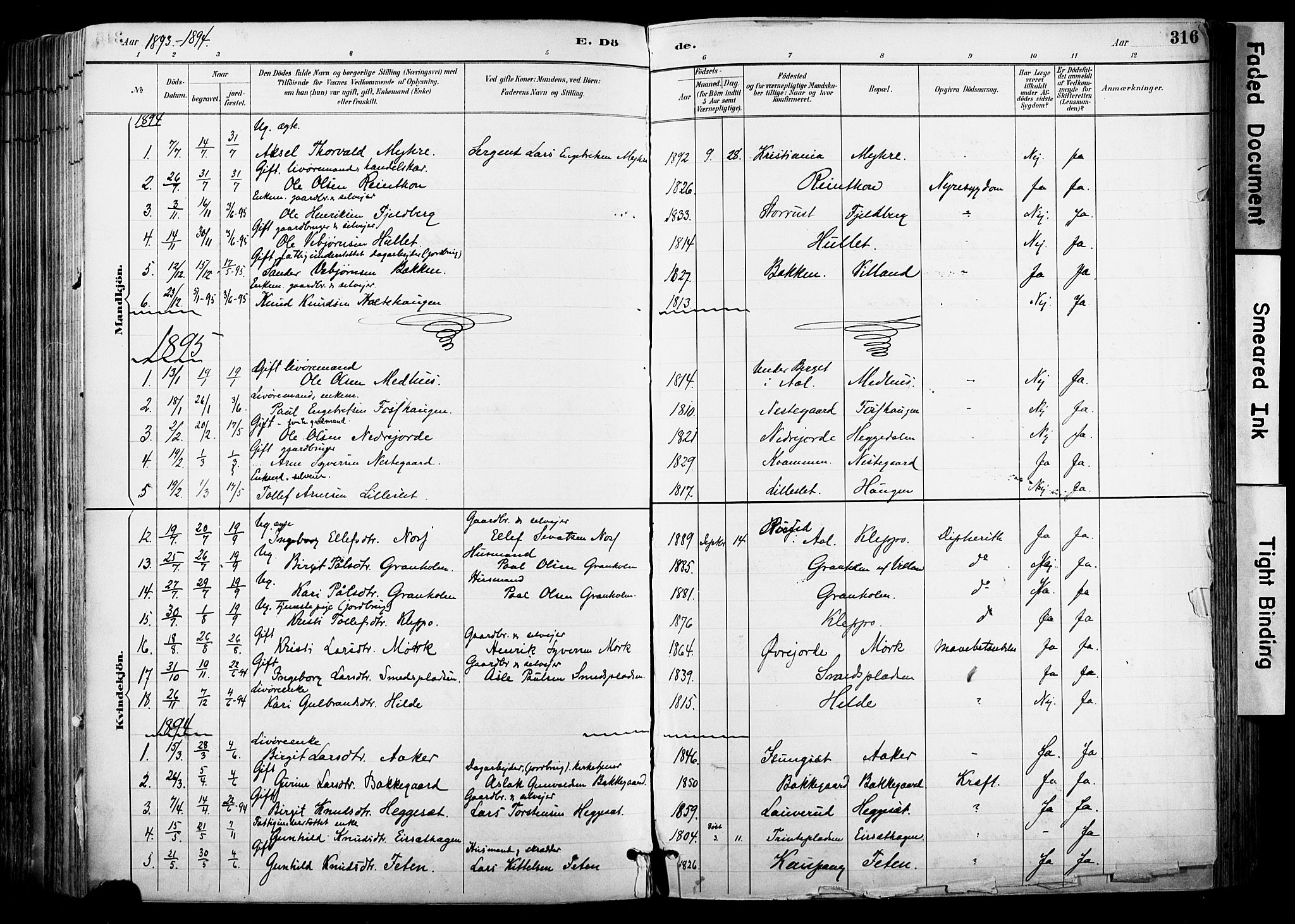Hol kirkebøker, AV/SAKO-A-227/F/Fa/L0003: Ministerialbok nr. I 3, 1887-1918, s. 316