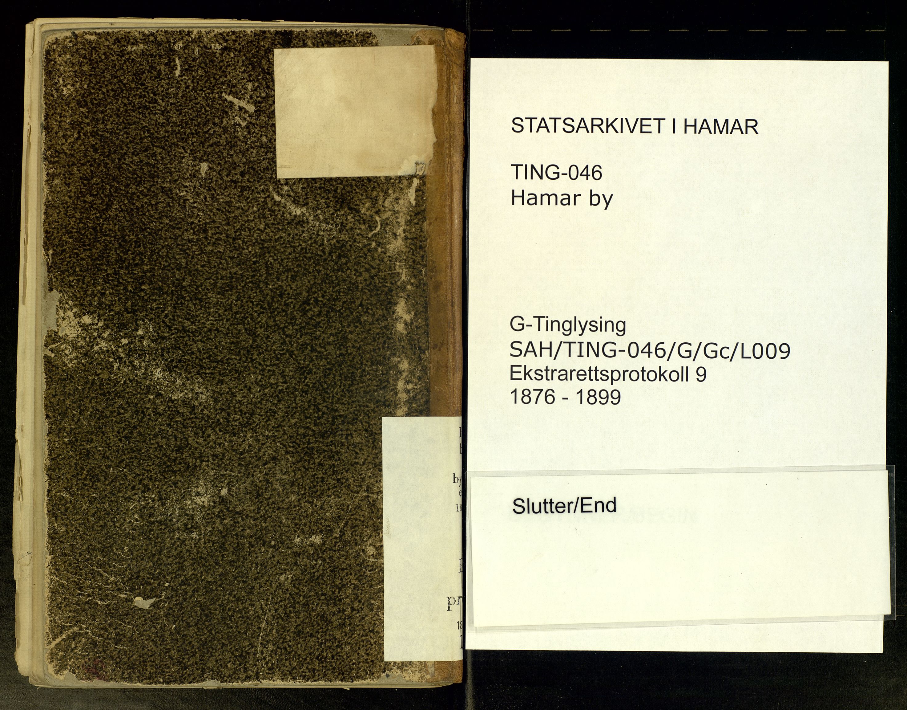 Hamar byfogd og byskriver, SAH/TING-046/G/Gc/L0009: Ekstrarettsprotokoll, 1876-1899