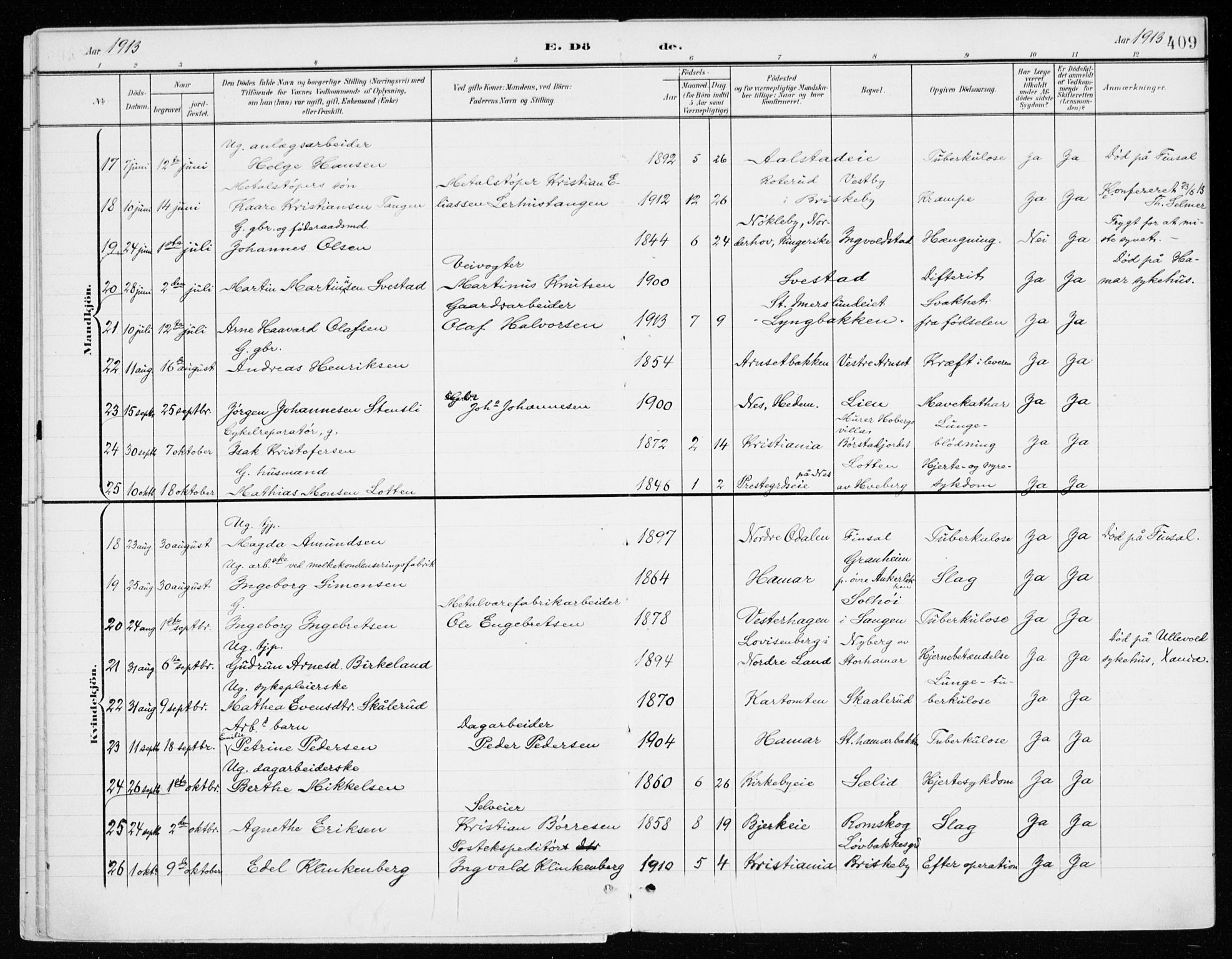 Vang prestekontor, Hedmark, AV/SAH-PREST-008/H/Ha/Haa/L0021: Ministerialbok nr. 21, 1902-1917, s. 409