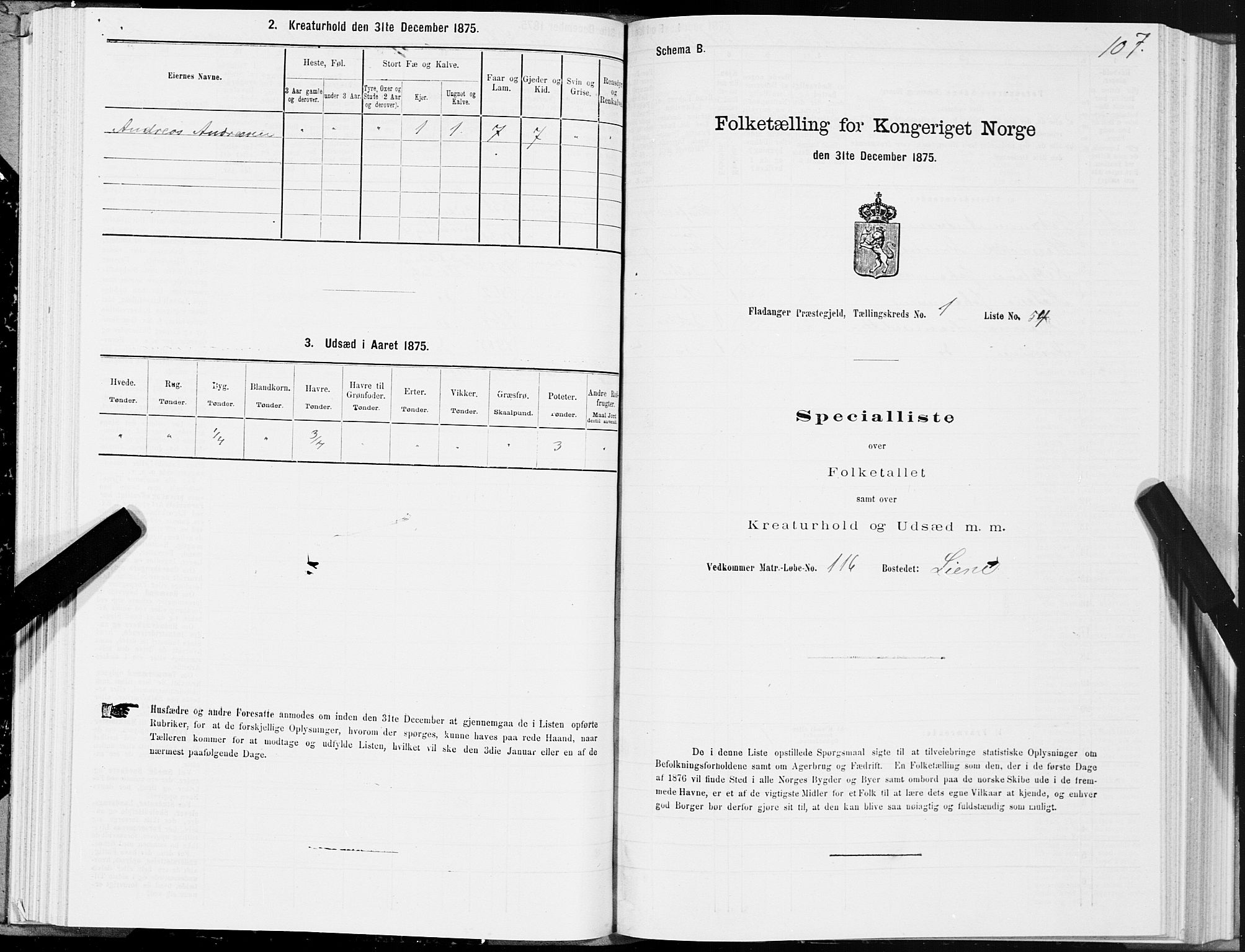 SAT, Folketelling 1875 for 1749P Flatanger prestegjeld, 1875, s. 1107