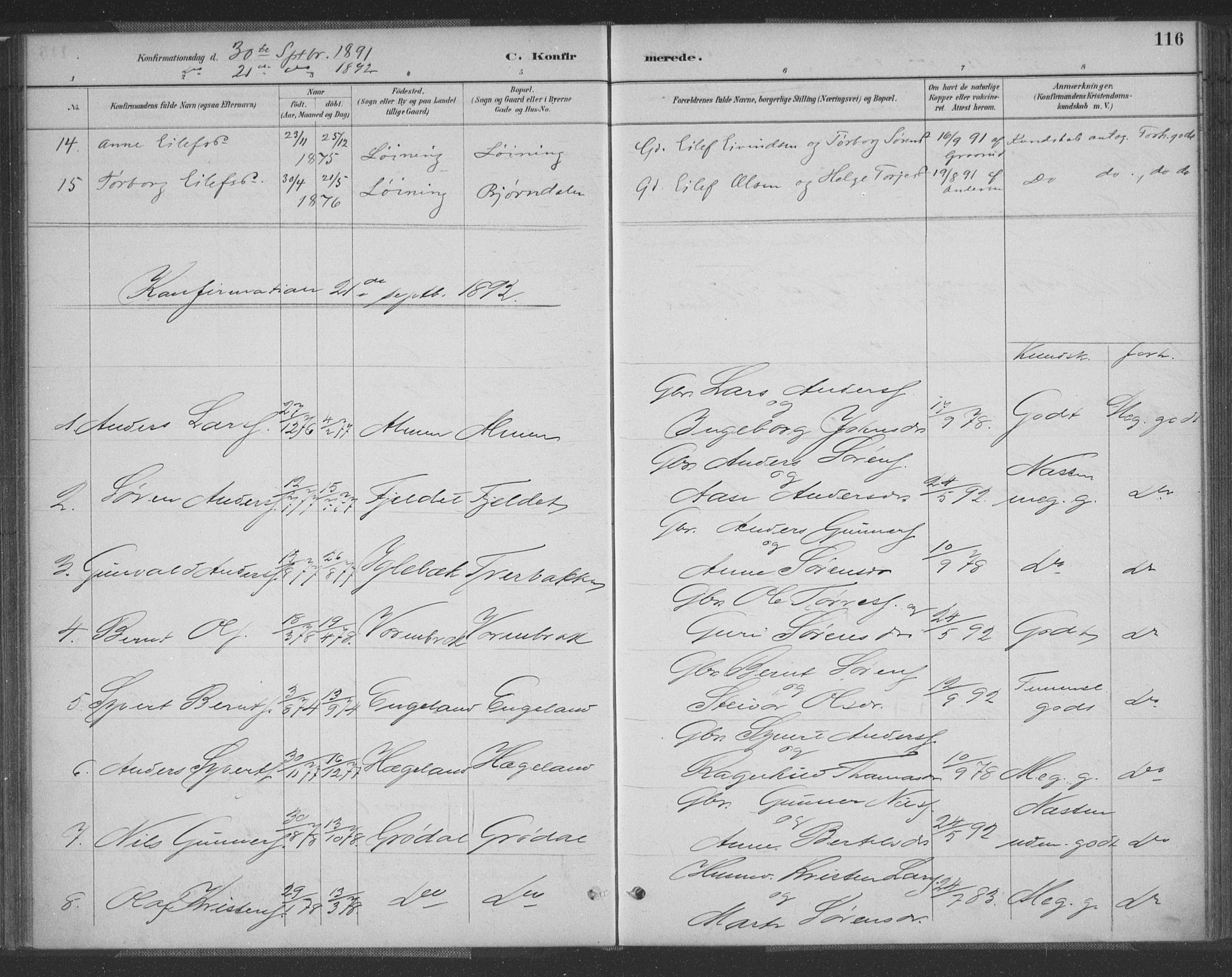Vennesla sokneprestkontor, SAK/1111-0045/Fa/Fac/L0009: Ministerialbok nr. A 9, 1884-1901, s. 116