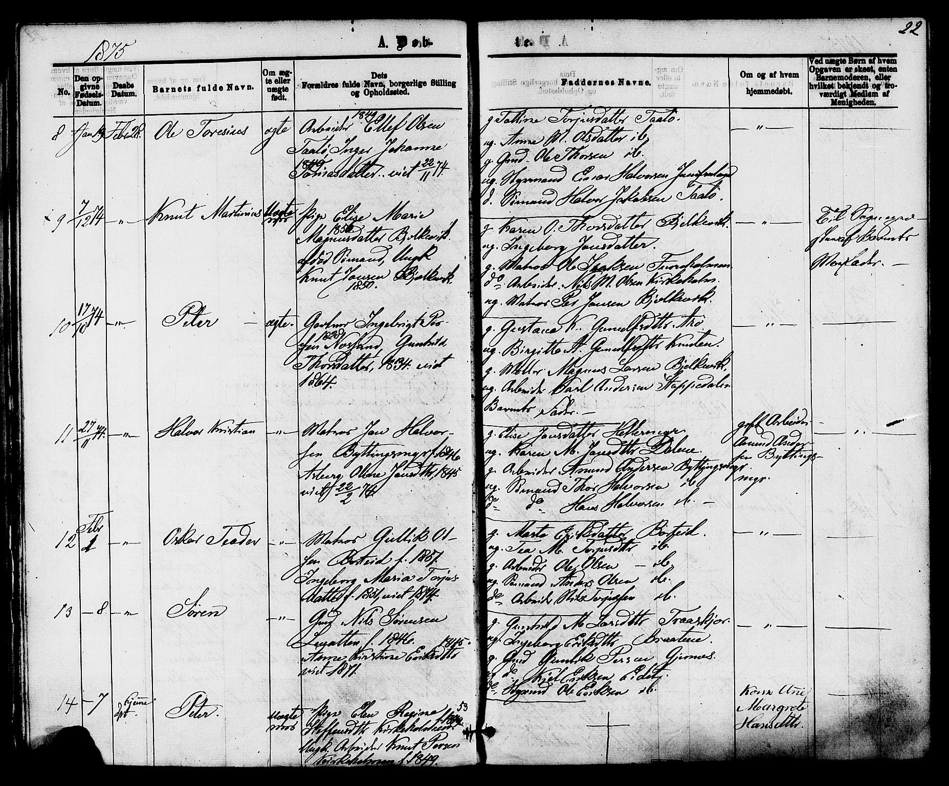 Skåtøy kirkebøker, AV/SAKO-A-304/F/Fa/L0001: Ministerialbok nr. I 1, 1874-1883, s. 22