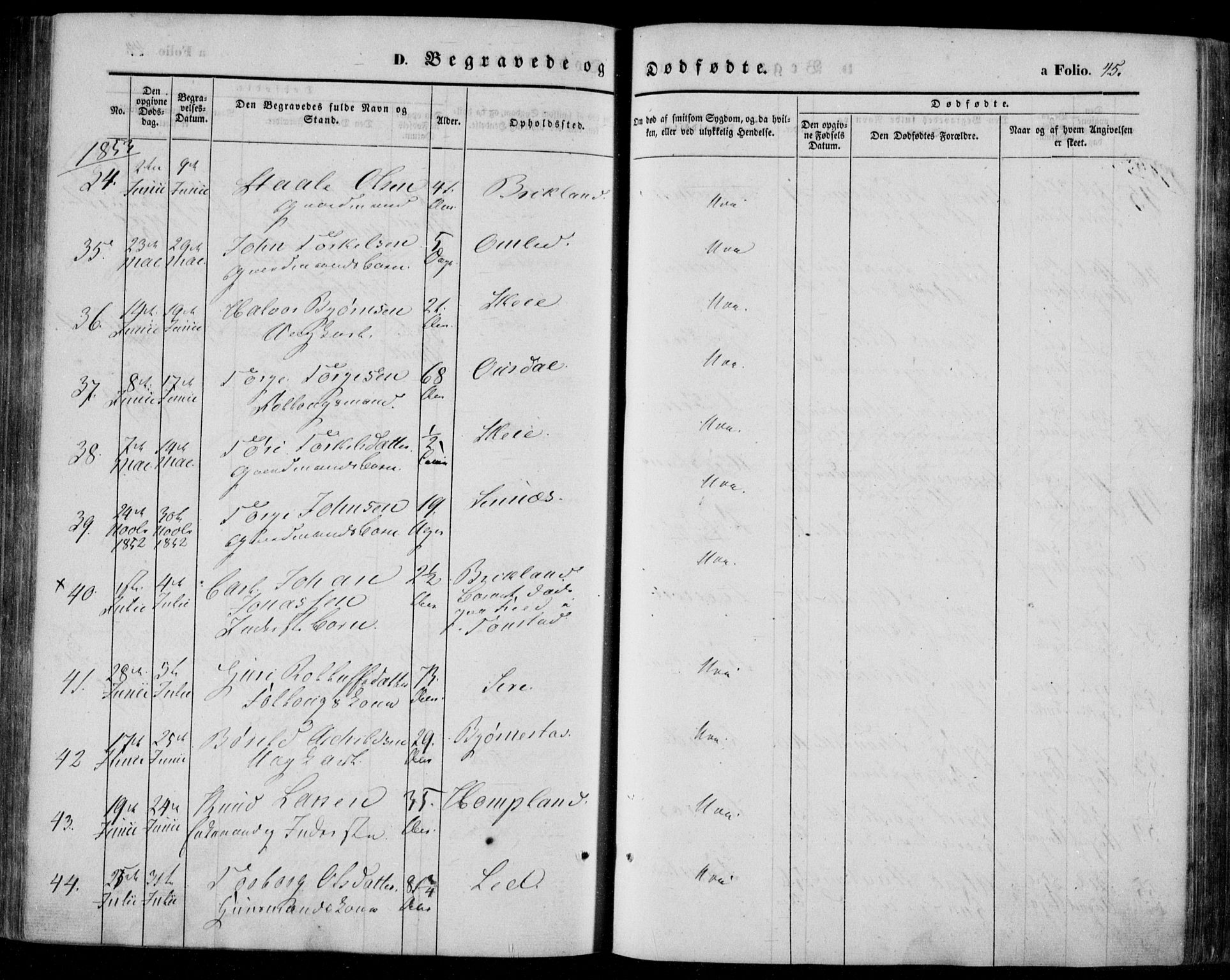 Bakke sokneprestkontor, AV/SAK-1111-0002/F/Fa/Faa/L0005: Ministerialbok nr. A 5, 1847-1855, s. 45