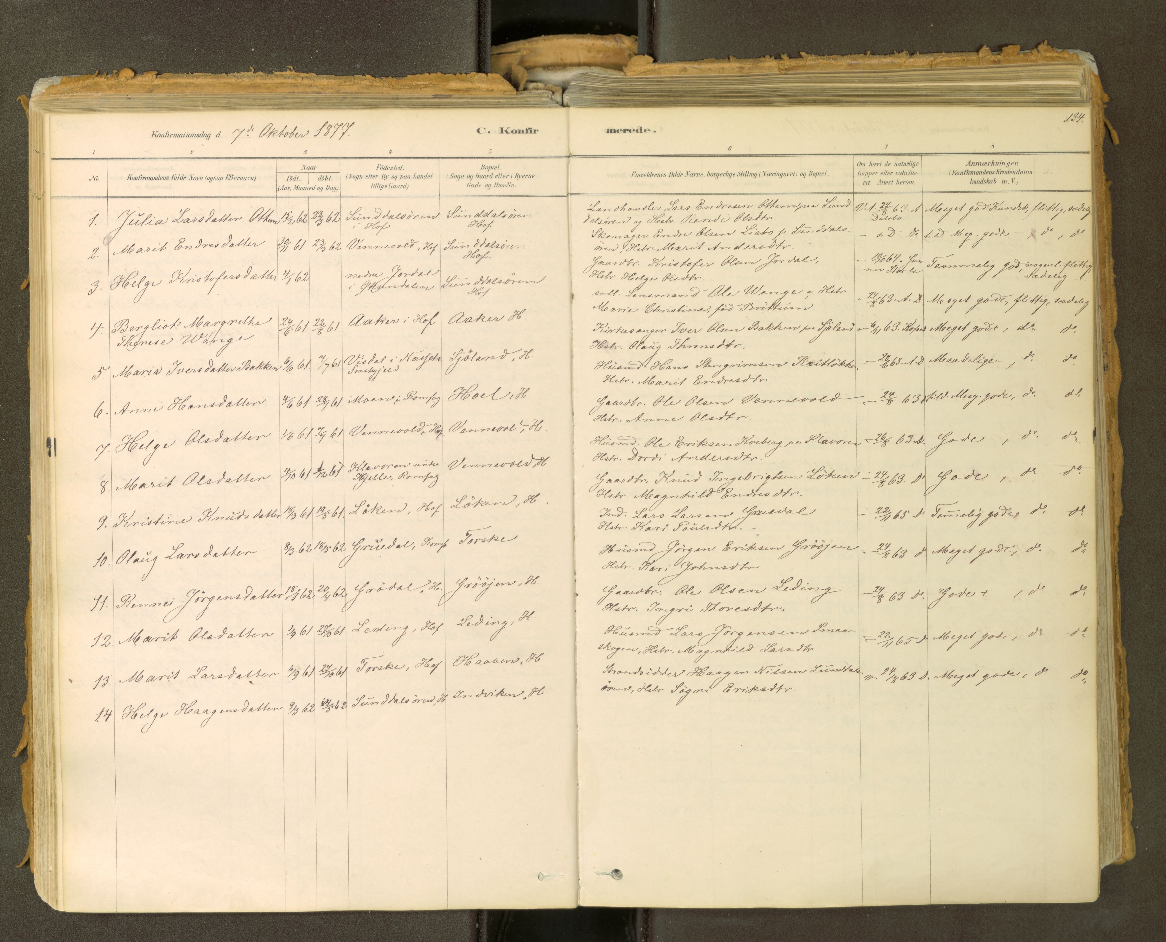 Sunndal sokneprestkontor, AV/SAT-A-1085/1/I/I1/I1a: Ministerialbok nr. 2, 1877-1914, s. 134