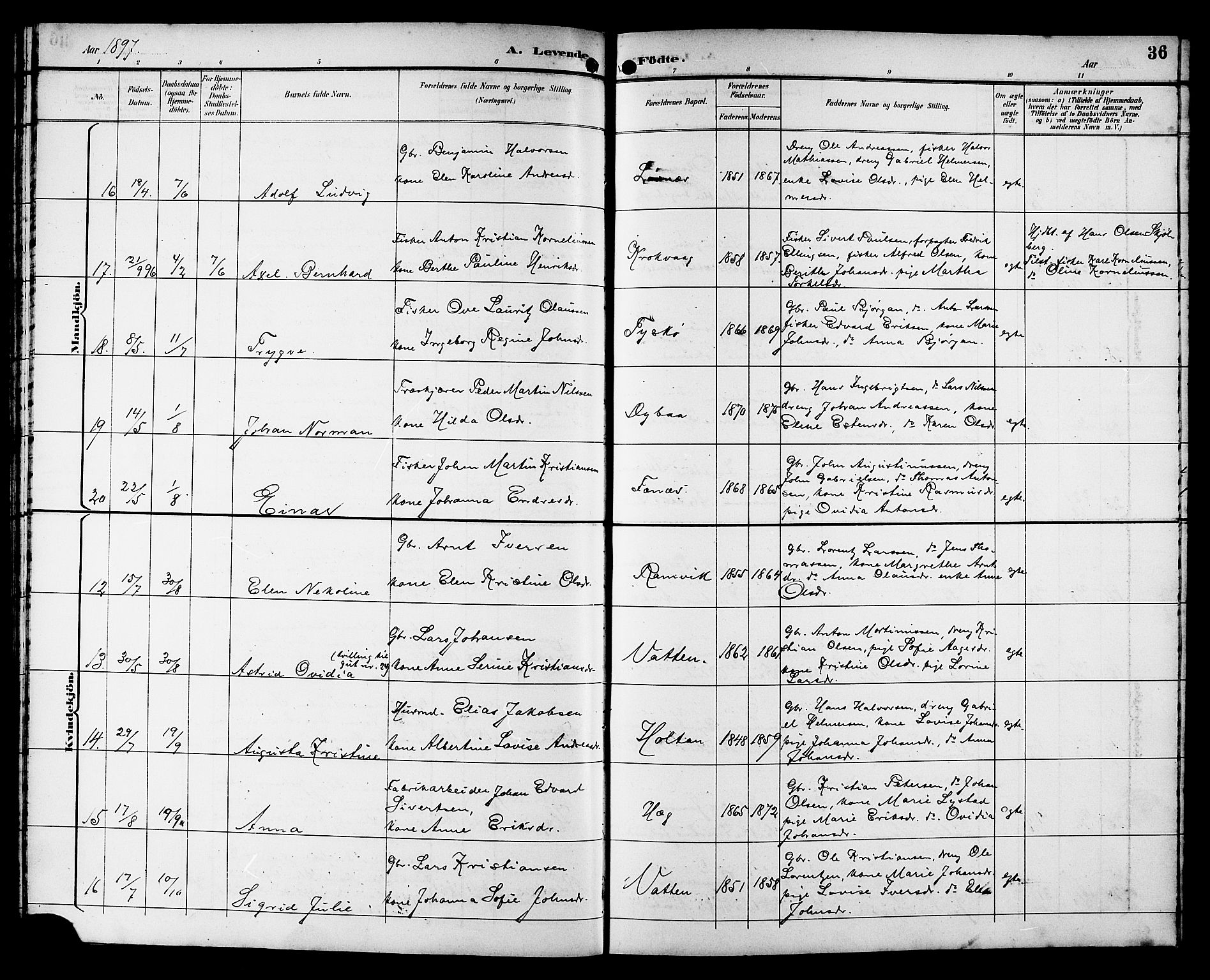 Ministerialprotokoller, klokkerbøker og fødselsregistre - Sør-Trøndelag, SAT/A-1456/662/L0757: Klokkerbok nr. 662C02, 1892-1918, s. 36