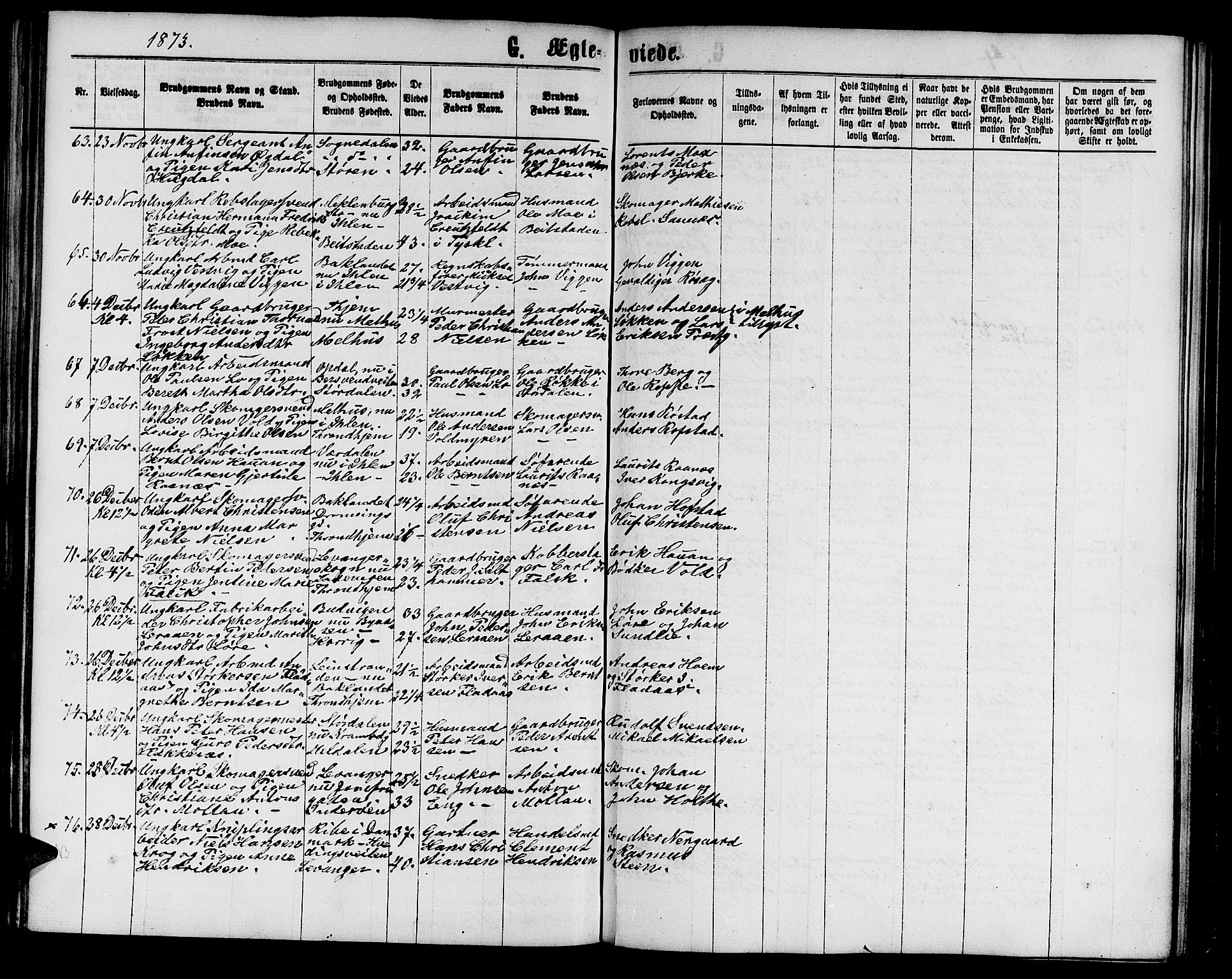 Ministerialprotokoller, klokkerbøker og fødselsregistre - Sør-Trøndelag, SAT/A-1456/602/L0141: Klokkerbok nr. 602C09, 1865-1877