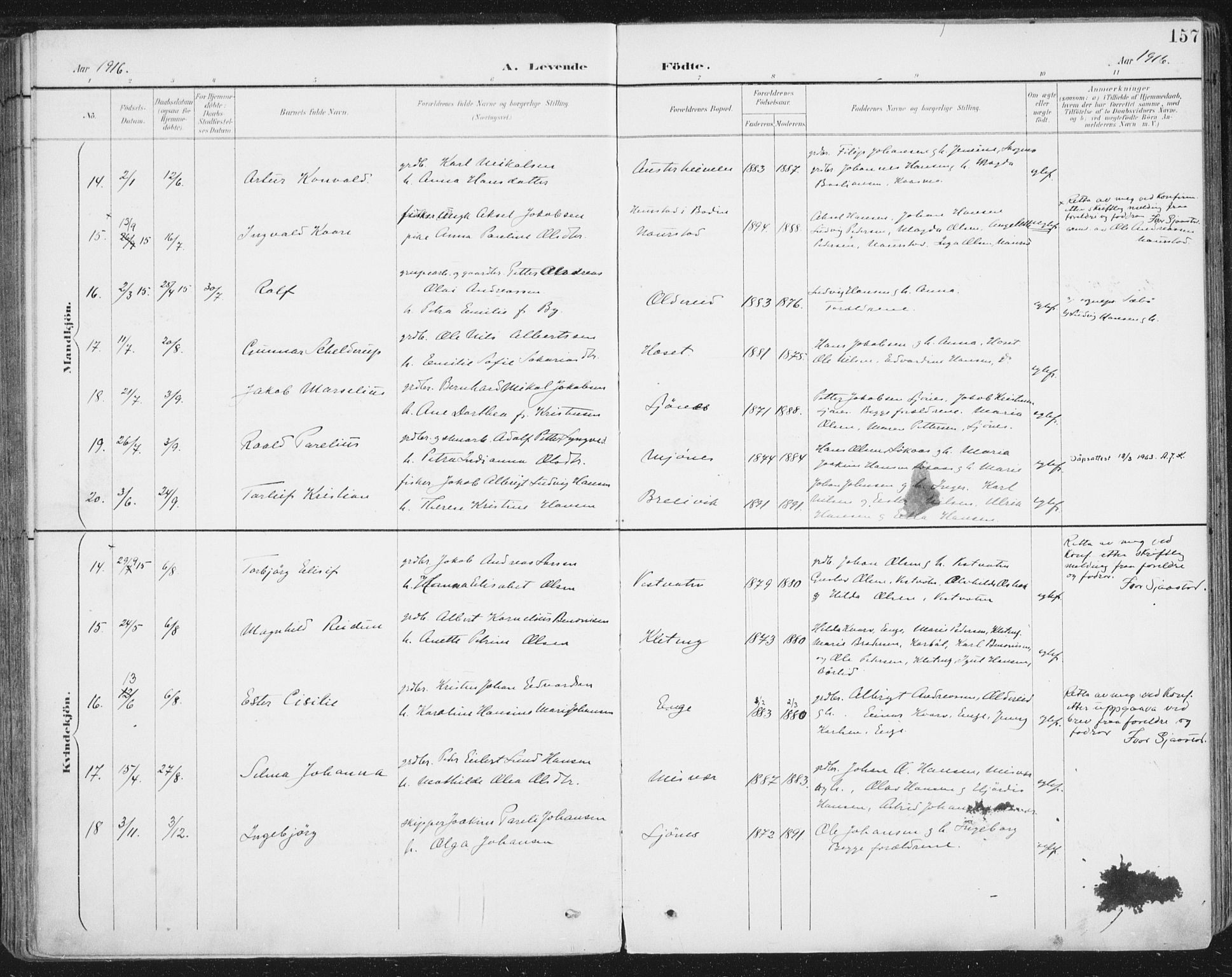 Ministerialprotokoller, klokkerbøker og fødselsregistre - Nordland, AV/SAT-A-1459/852/L0741: Ministerialbok nr. 852A11, 1894-1917, s. 157