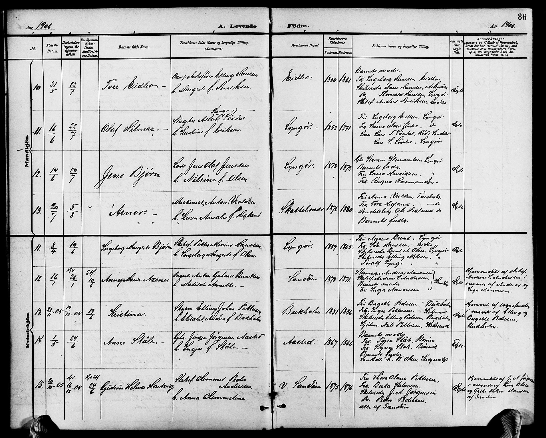 Dypvåg sokneprestkontor, AV/SAK-1111-0007/F/Fb/Fba/L0014: Klokkerbok nr. B 14, 1901-1922, s. 36