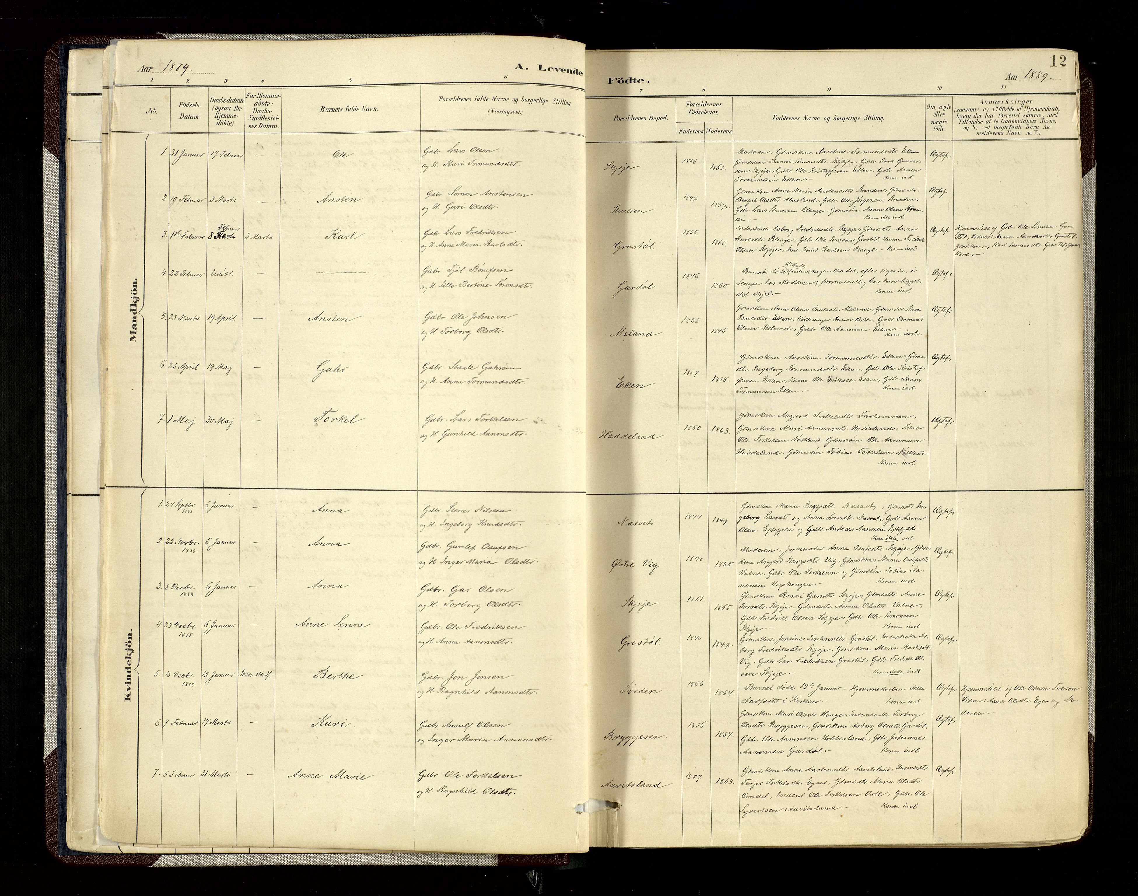Hægebostad sokneprestkontor, SAK/1111-0024/F/Fa/Fab/L0004: Ministerialbok nr. A 4, 1887-1929, s. 12