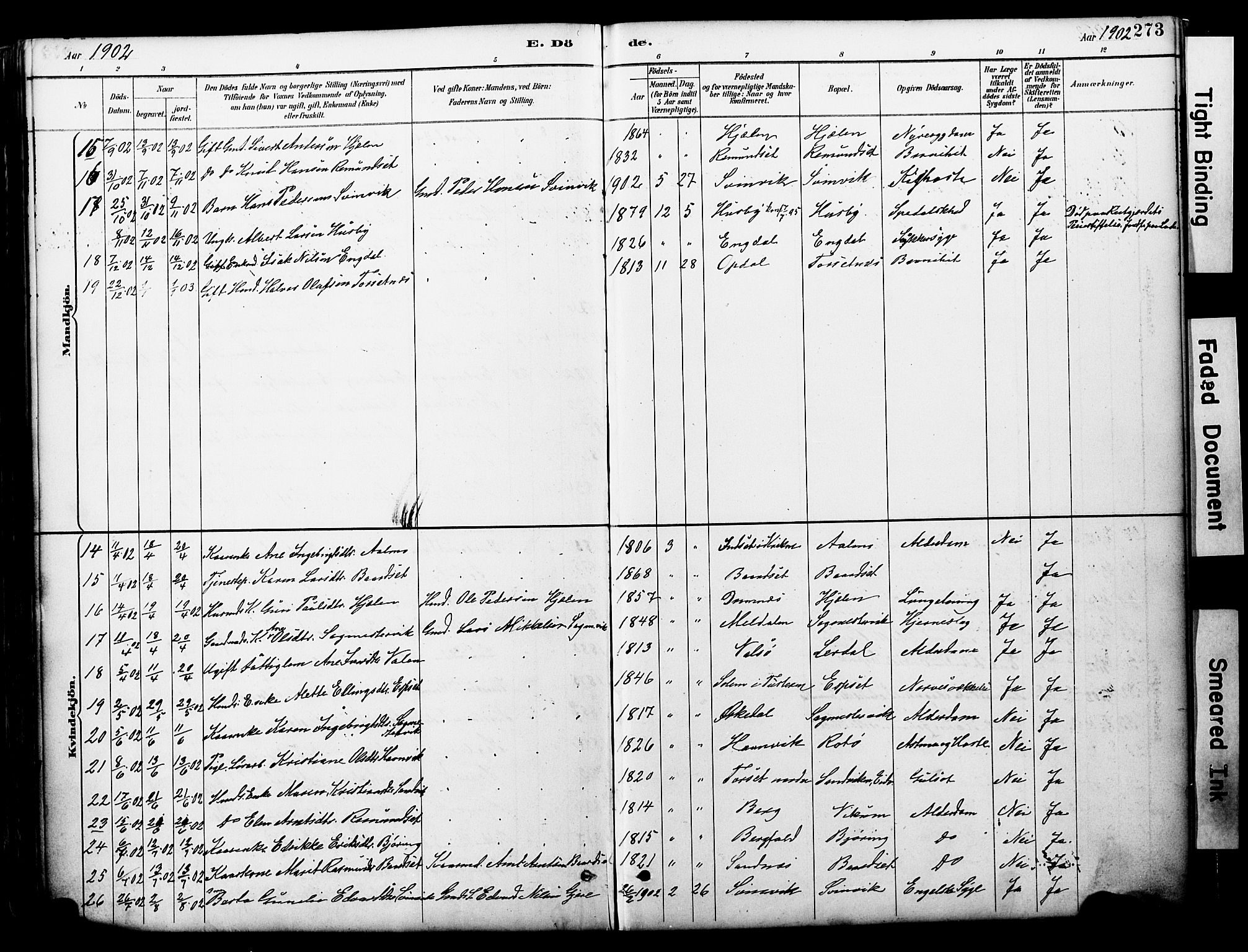 Ministerialprotokoller, klokkerbøker og fødselsregistre - Møre og Romsdal, AV/SAT-A-1454/578/L0907: Ministerialbok nr. 578A06, 1887-1904, s. 273