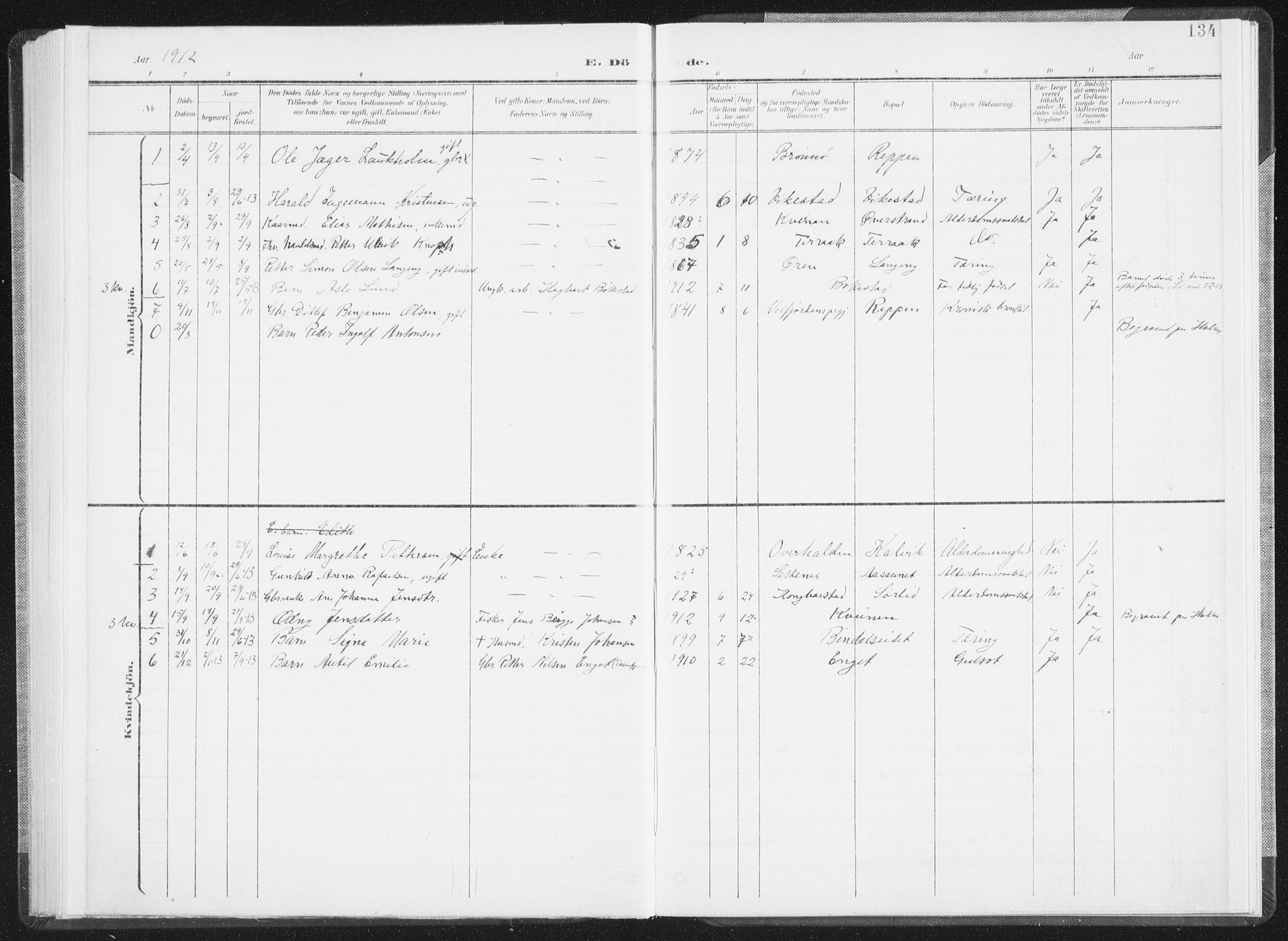 Ministerialprotokoller, klokkerbøker og fødselsregistre - Nordland, AV/SAT-A-1459/810/L0153: Ministerialbok nr. 810A12, 1899-1914, s. 134