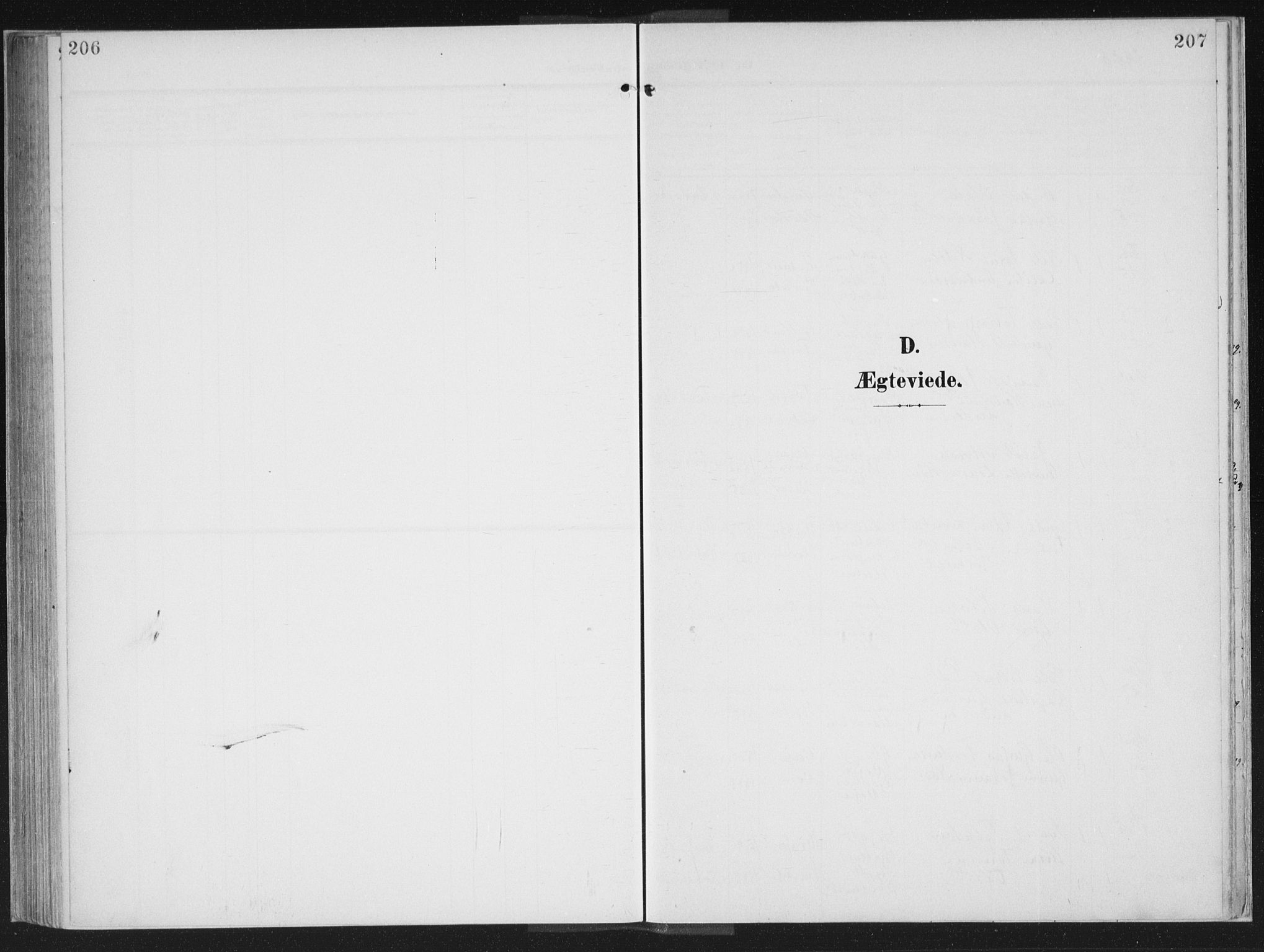 Oddernes sokneprestkontor, AV/SAK-1111-0033/F/Fa/Faa/L0011: Ministerialbok nr. A 11, 1904-1911, s. 206-207