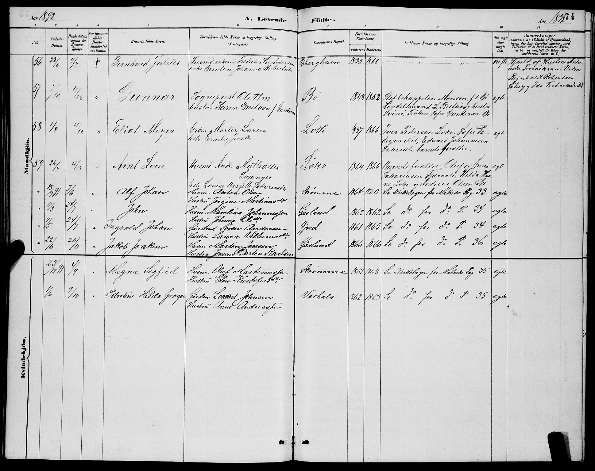 Ministerialprotokoller, klokkerbøker og fødselsregistre - Nordland, AV/SAT-A-1459/891/L1315: Klokkerbok nr. 891C04, 1886-1893, s. 74