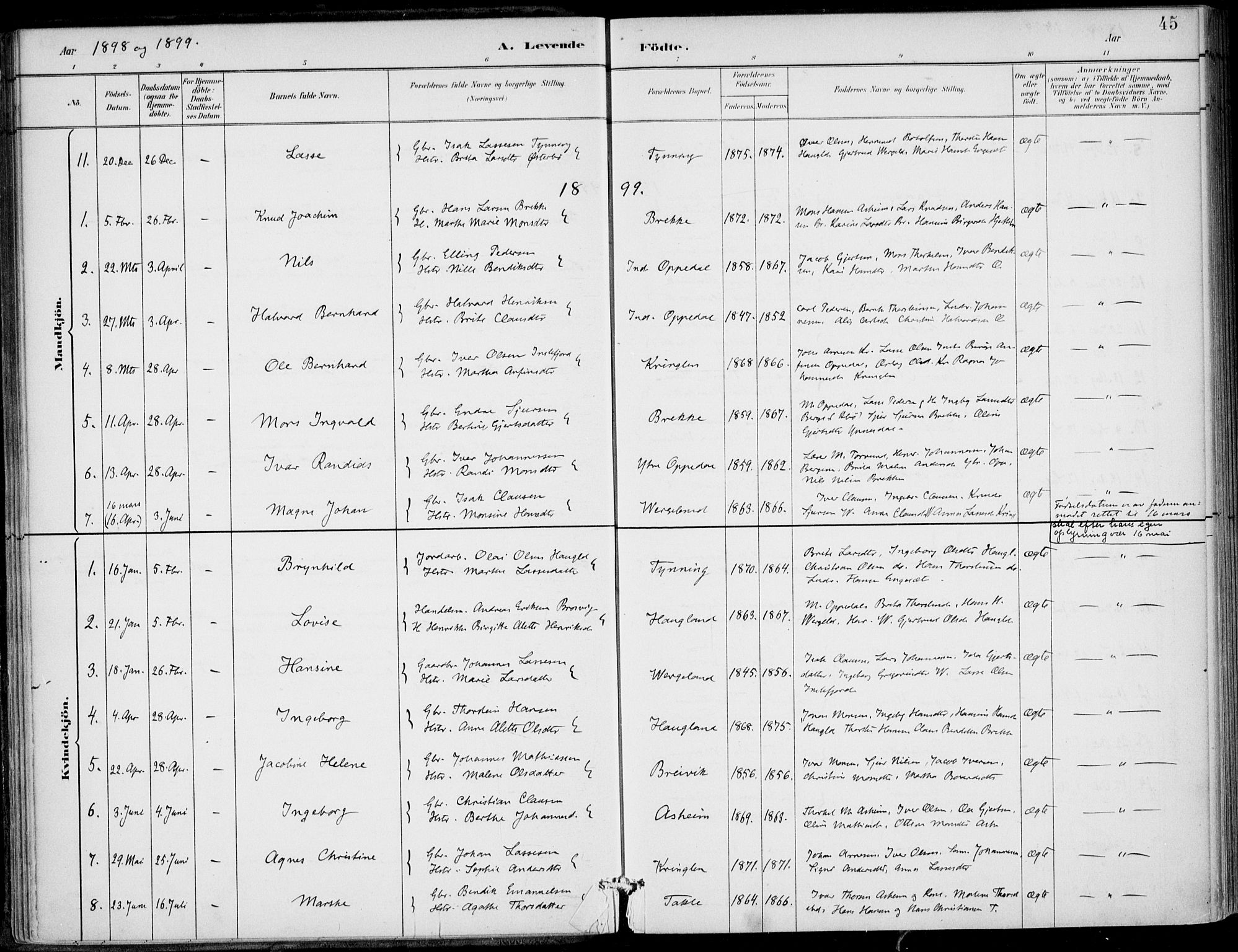 Gulen sokneprestembete, SAB/A-80201/H/Haa/Haac/L0002: Ministerialbok nr. C  2, 1882-1914, s. 45