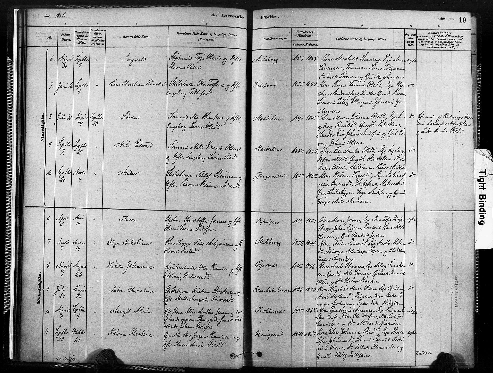 Austre Moland sokneprestkontor, AV/SAK-1111-0001/F/Fa/Fab/L0001: Ministerialbok nr. A 1, 1878-1898, s. 19