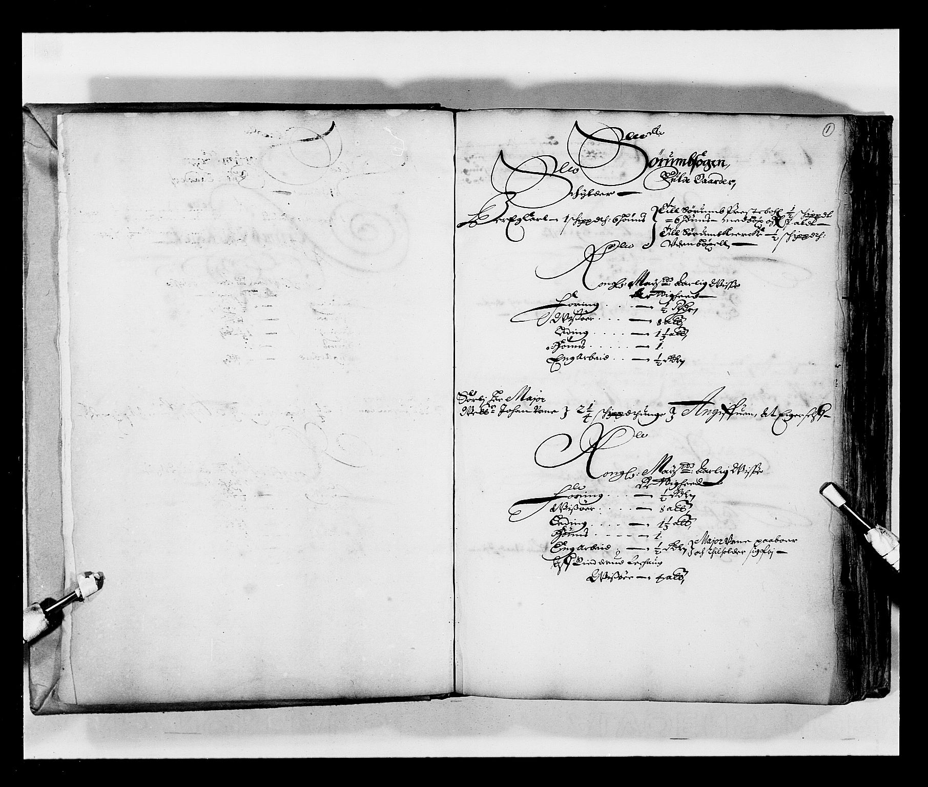 Stattholderembetet 1572-1771, AV/RA-EA-2870/Ek/L0033a/0001: Jordebøker 1662-1720: / Matrikkel for Nedre Romerike, 1670, s. 1a