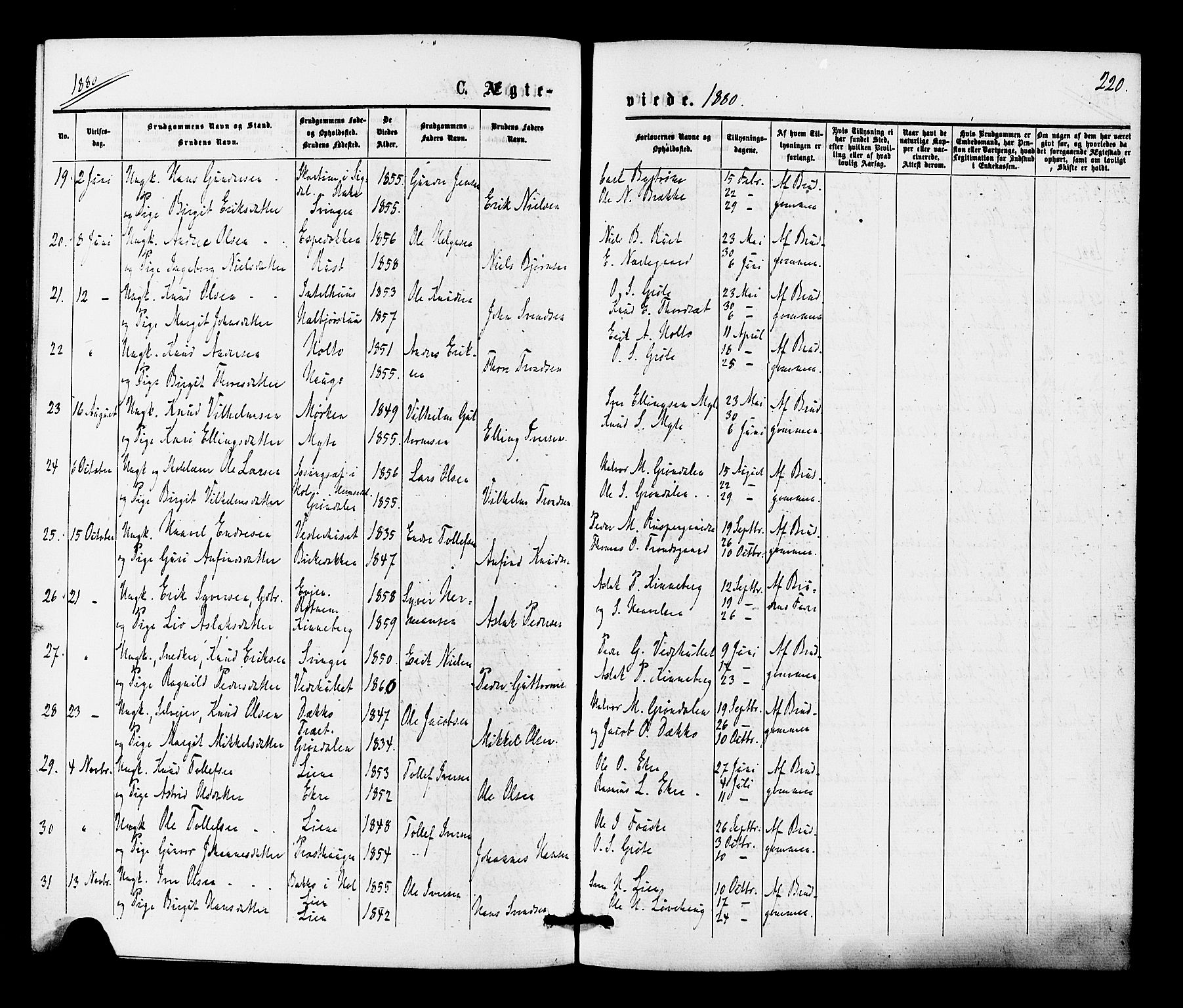 Gol kirkebøker, AV/SAKO-A-226/F/Fa/L0004: Ministerialbok nr. I 4, 1876-1886, s. 220
