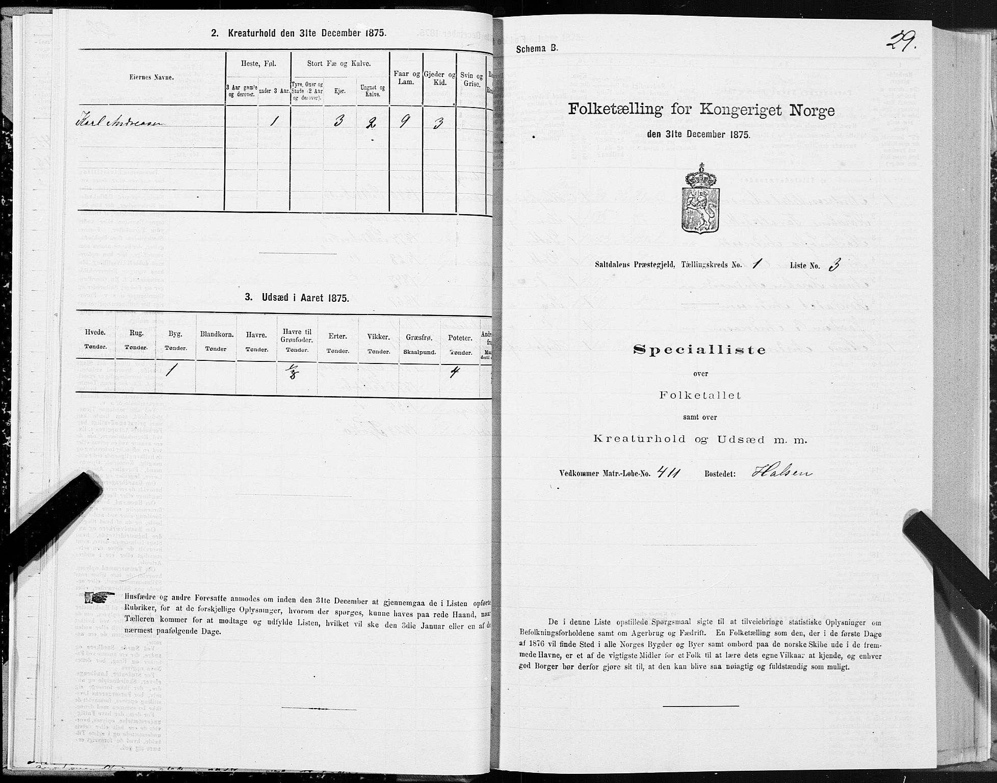 SAT, Folketelling 1875 for 1840P Saltdal prestegjeld, 1875, s. 1029