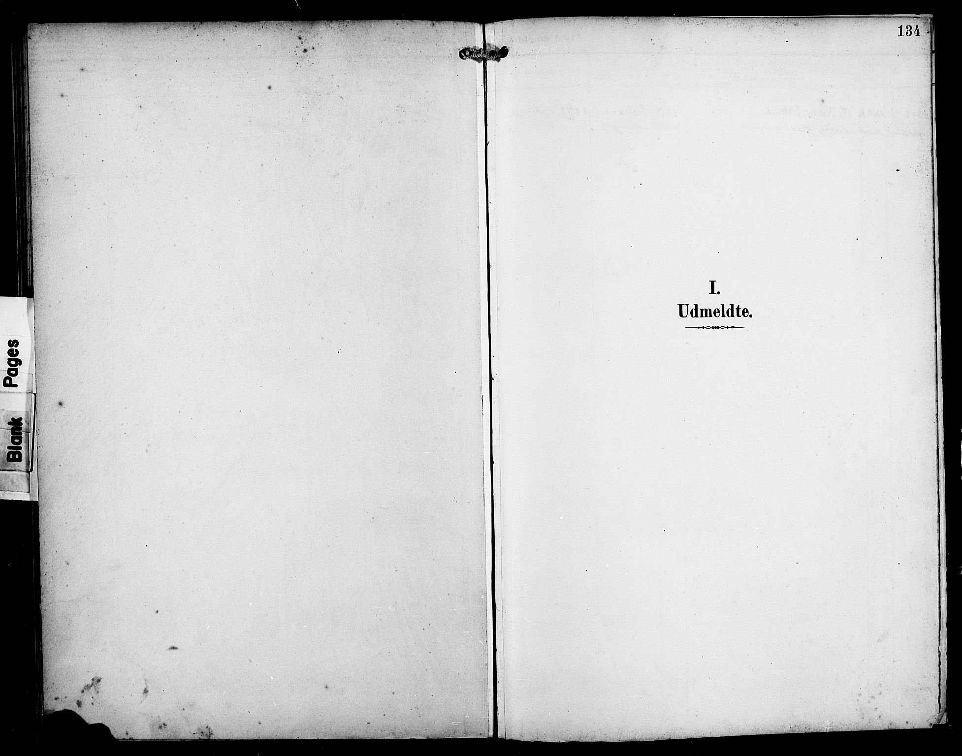 Manger sokneprestembete, AV/SAB-A-76801/H/Haa: Ministerialbok nr. B 2, 1893-1906, s. 134