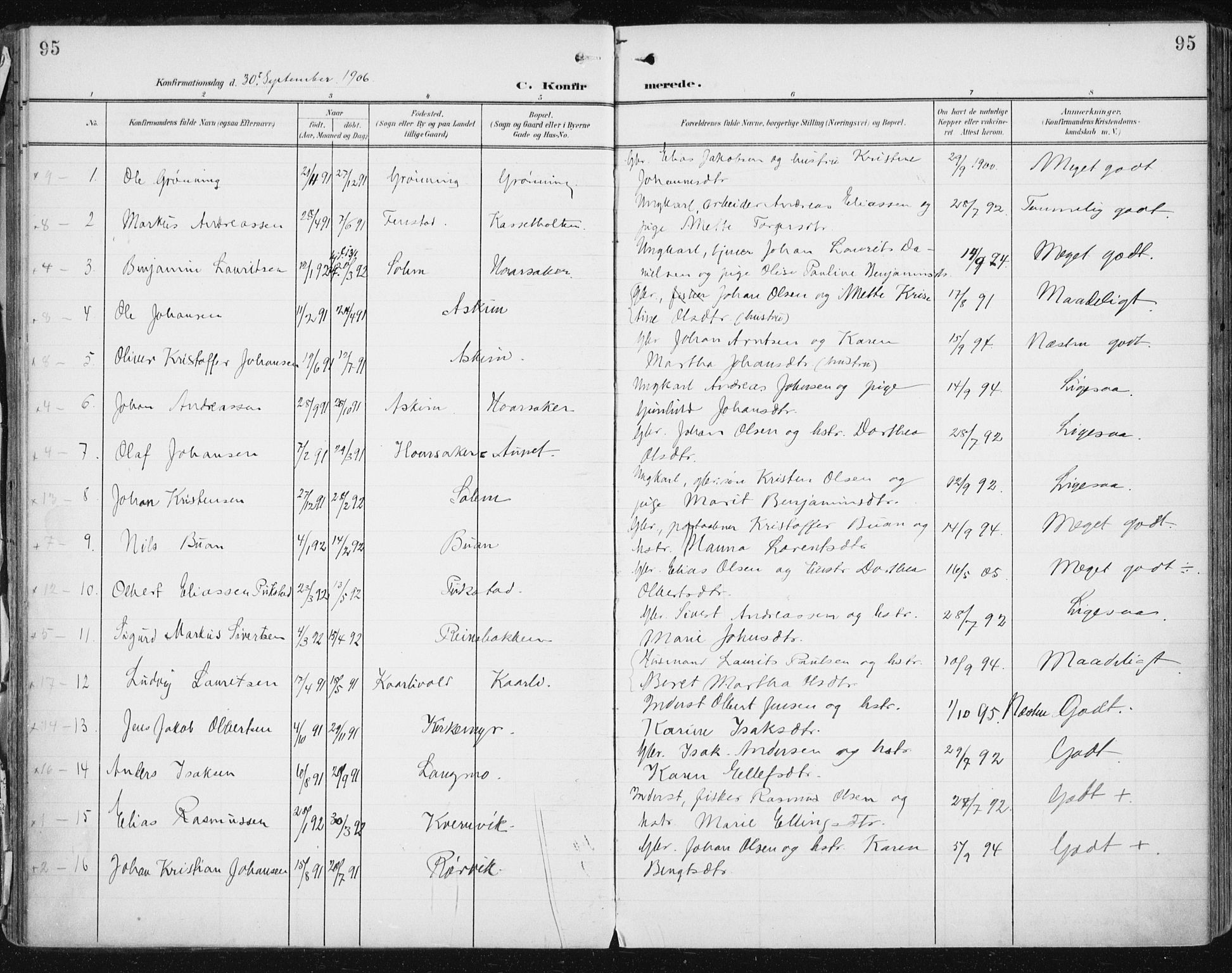 Ministerialprotokoller, klokkerbøker og fødselsregistre - Sør-Trøndelag, AV/SAT-A-1456/646/L0616: Ministerialbok nr. 646A14, 1900-1918, s. 95