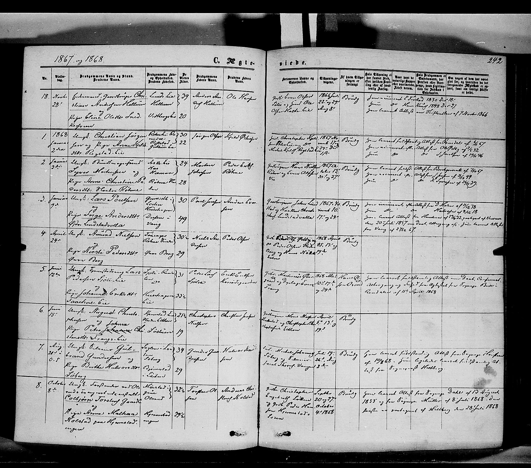 Stange prestekontor, SAH/PREST-002/K/L0013: Ministerialbok nr. 13, 1862-1879, s. 242