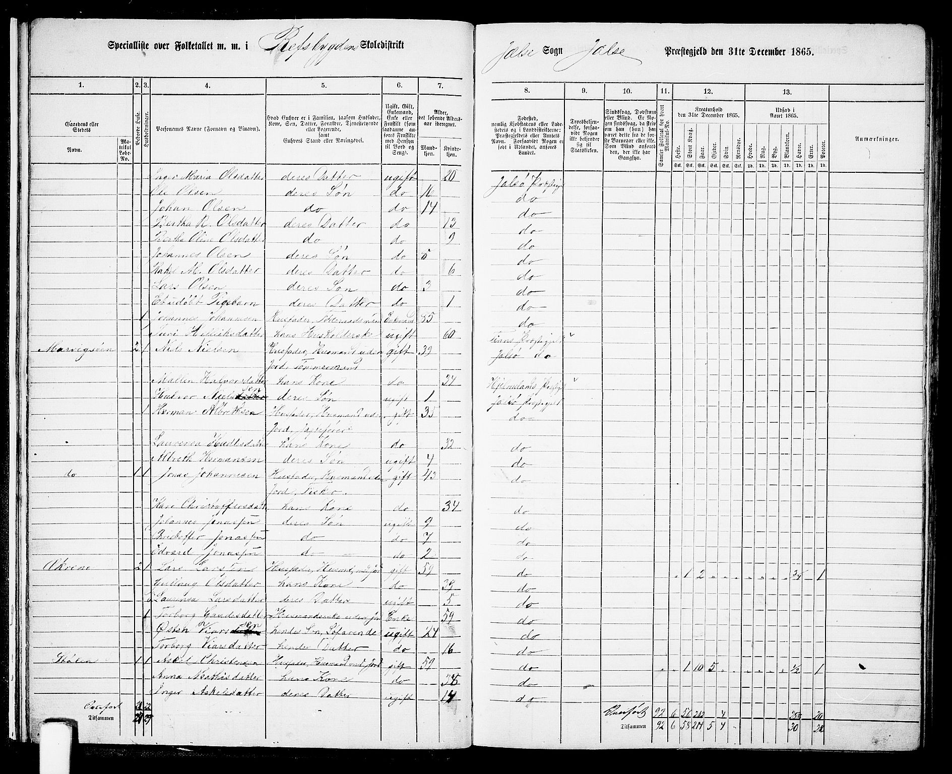 RA, Folketelling 1865 for 1138P Jelsa prestegjeld, 1865, s. 13