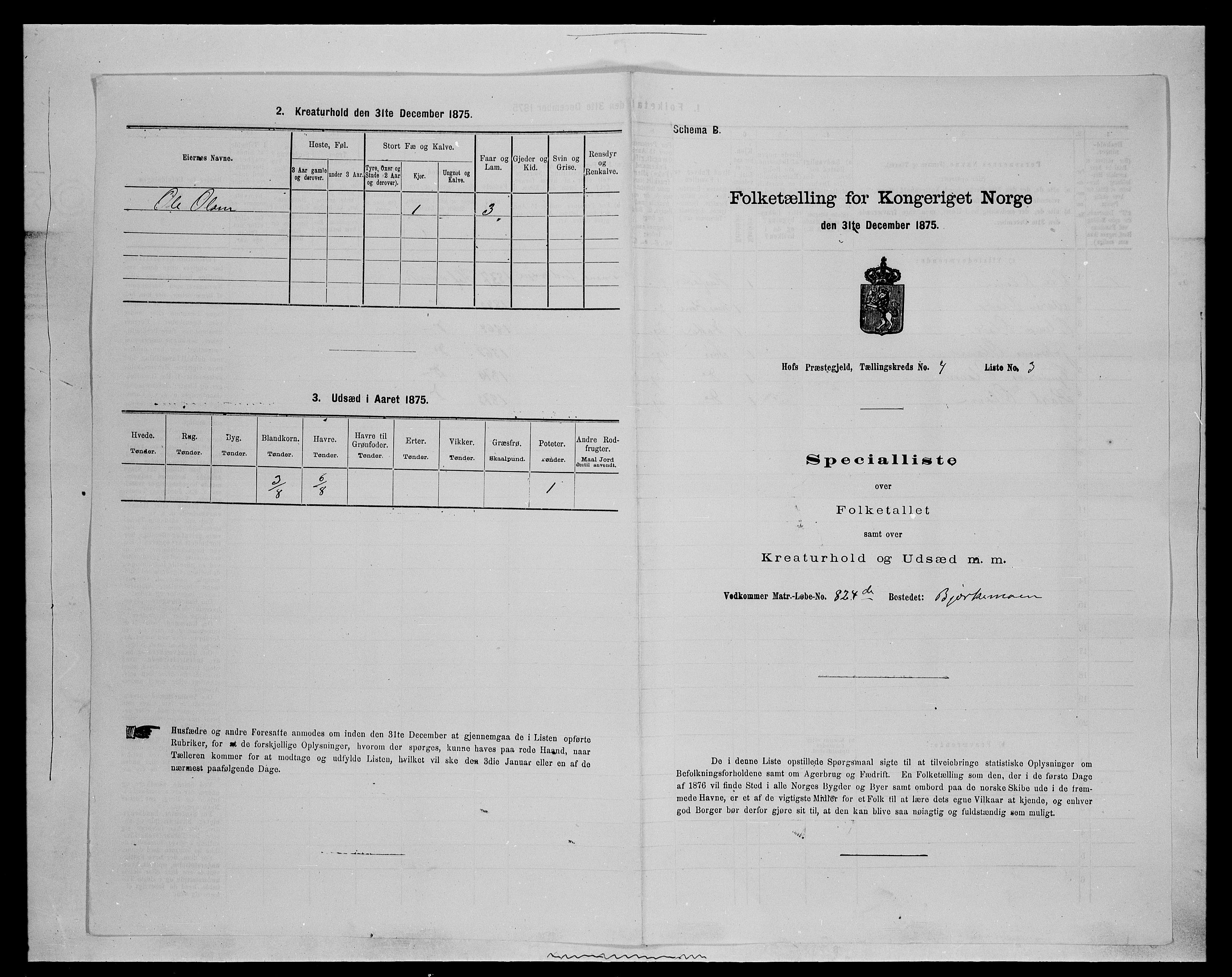 SAH, Folketelling 1875 for 0424P Hof prestegjeld, 1875, s. 686