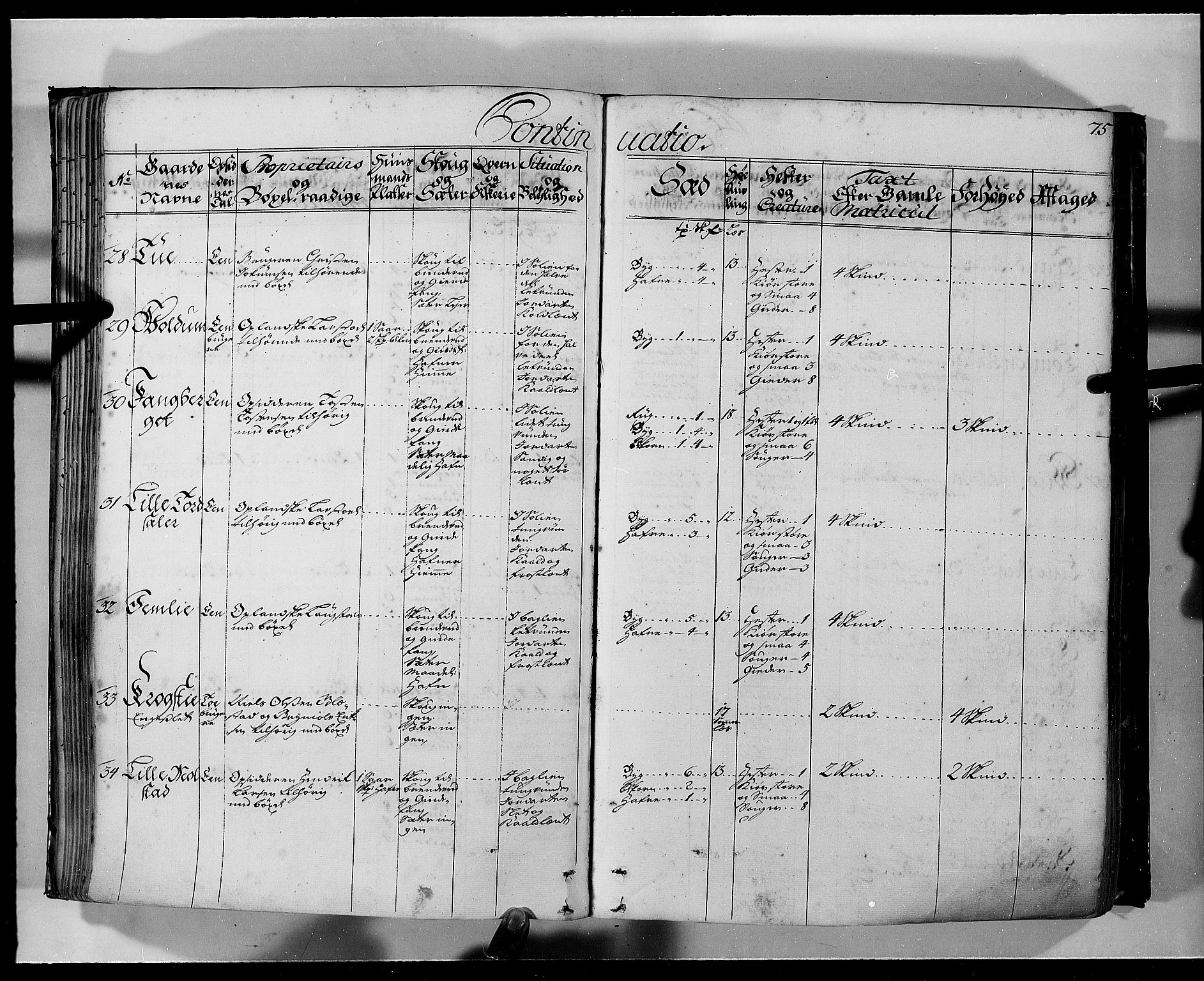 Rentekammeret inntil 1814, Realistisk ordnet avdeling, AV/RA-EA-4070/N/Nb/Nbf/L0103a: Hedmark eksaminasjonsprotokoll, 1723, s. 74b-75a