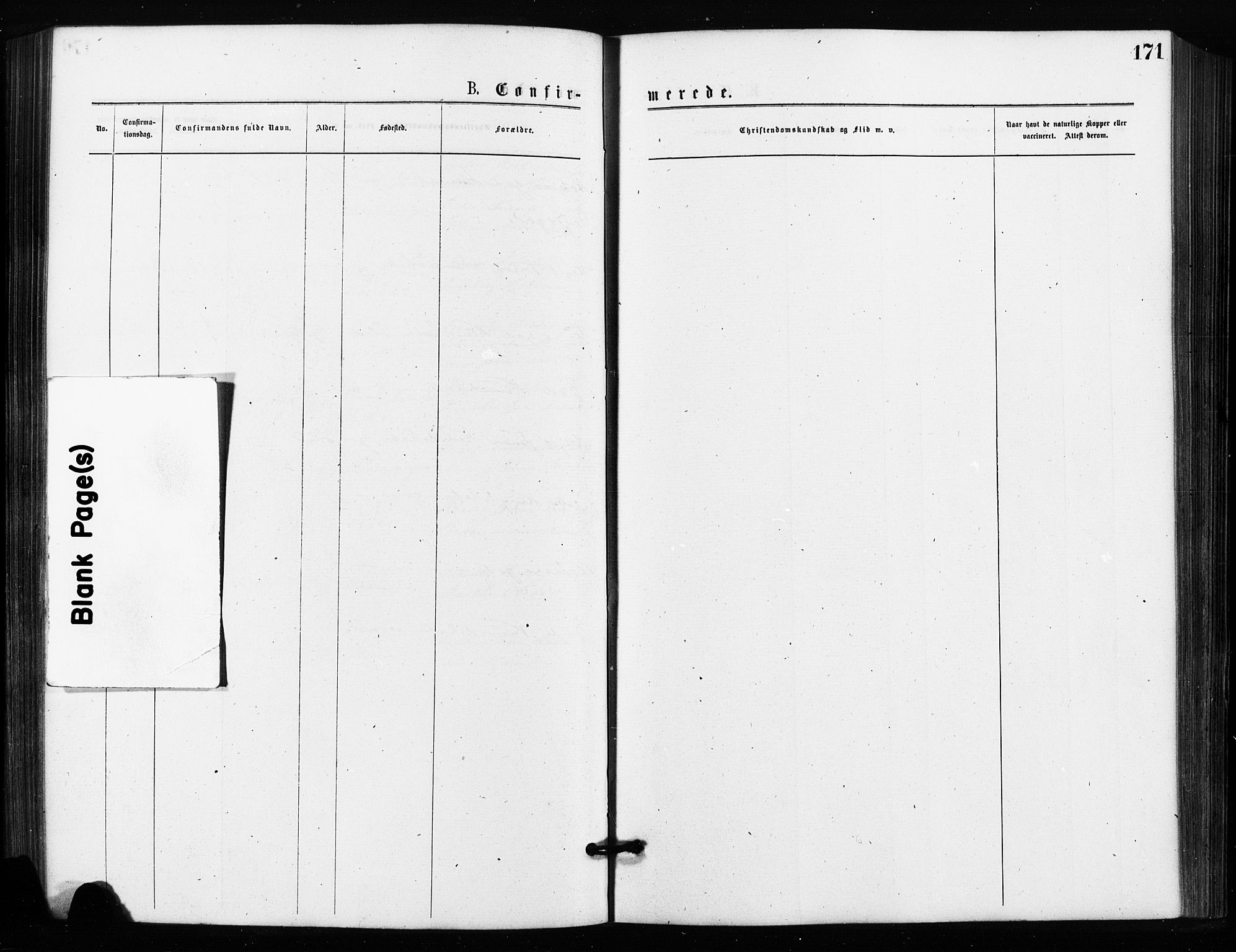 Rygge prestekontor Kirkebøker, SAO/A-10084b/F/Fa/L0006: Ministerialbok nr. 6, 1872-1877, s. 171