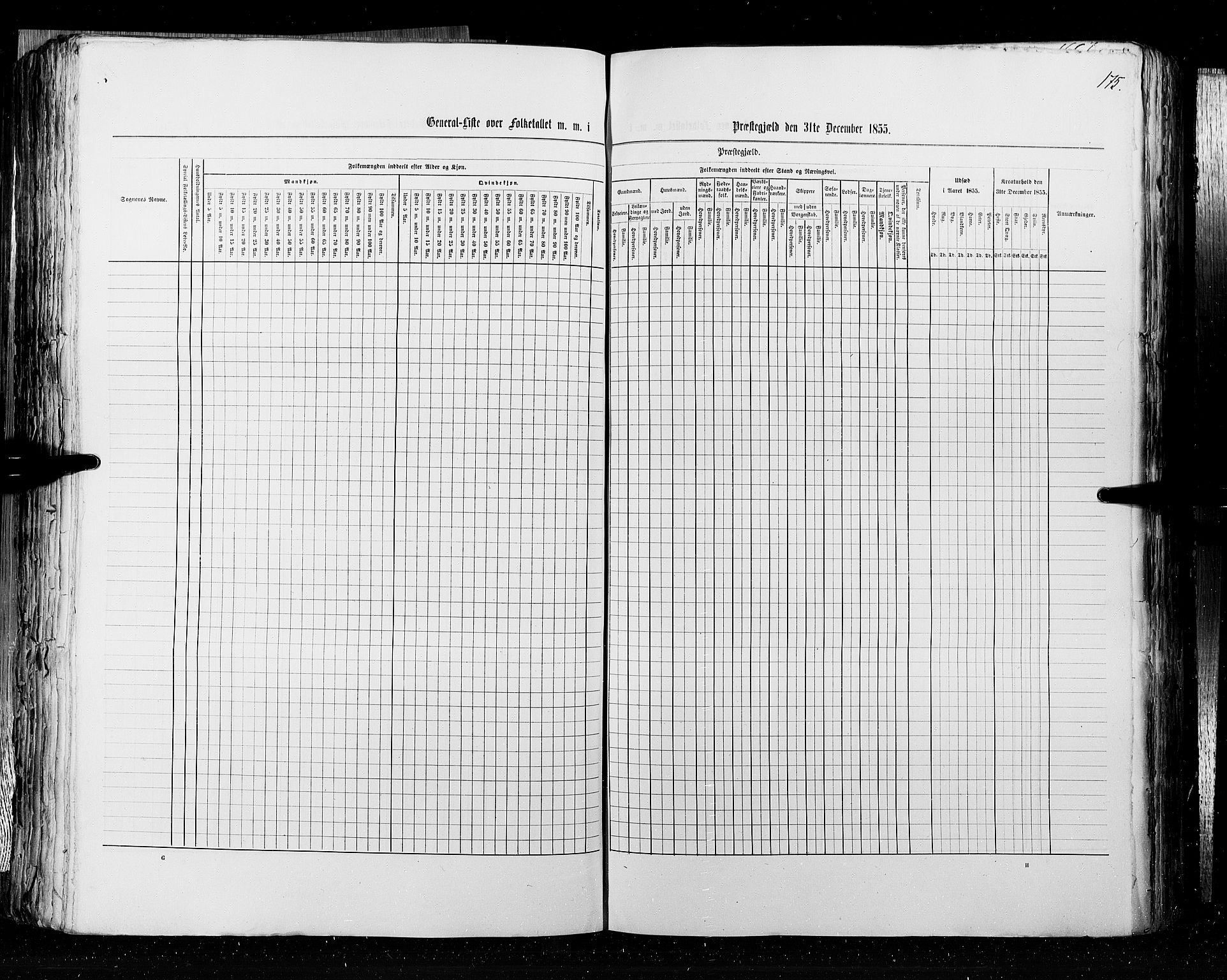 RA, Folketellingen 1855, bind 3: Bratsberg amt, Nedenes amt og Lister og Mandal amt, 1855, s. 175