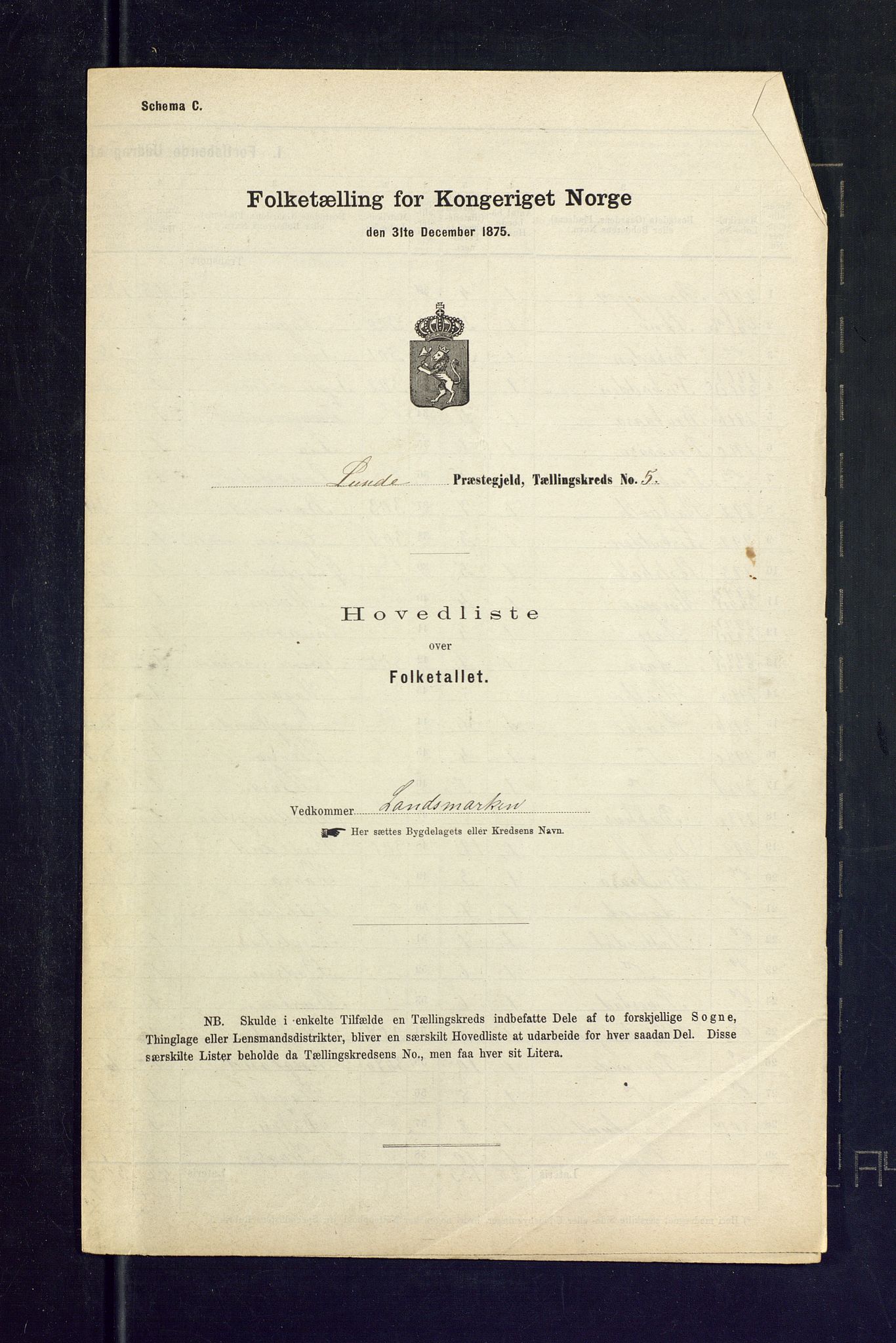 SAKO, Folketelling 1875 for 0820P Lunde prestegjeld, 1875, s. 21