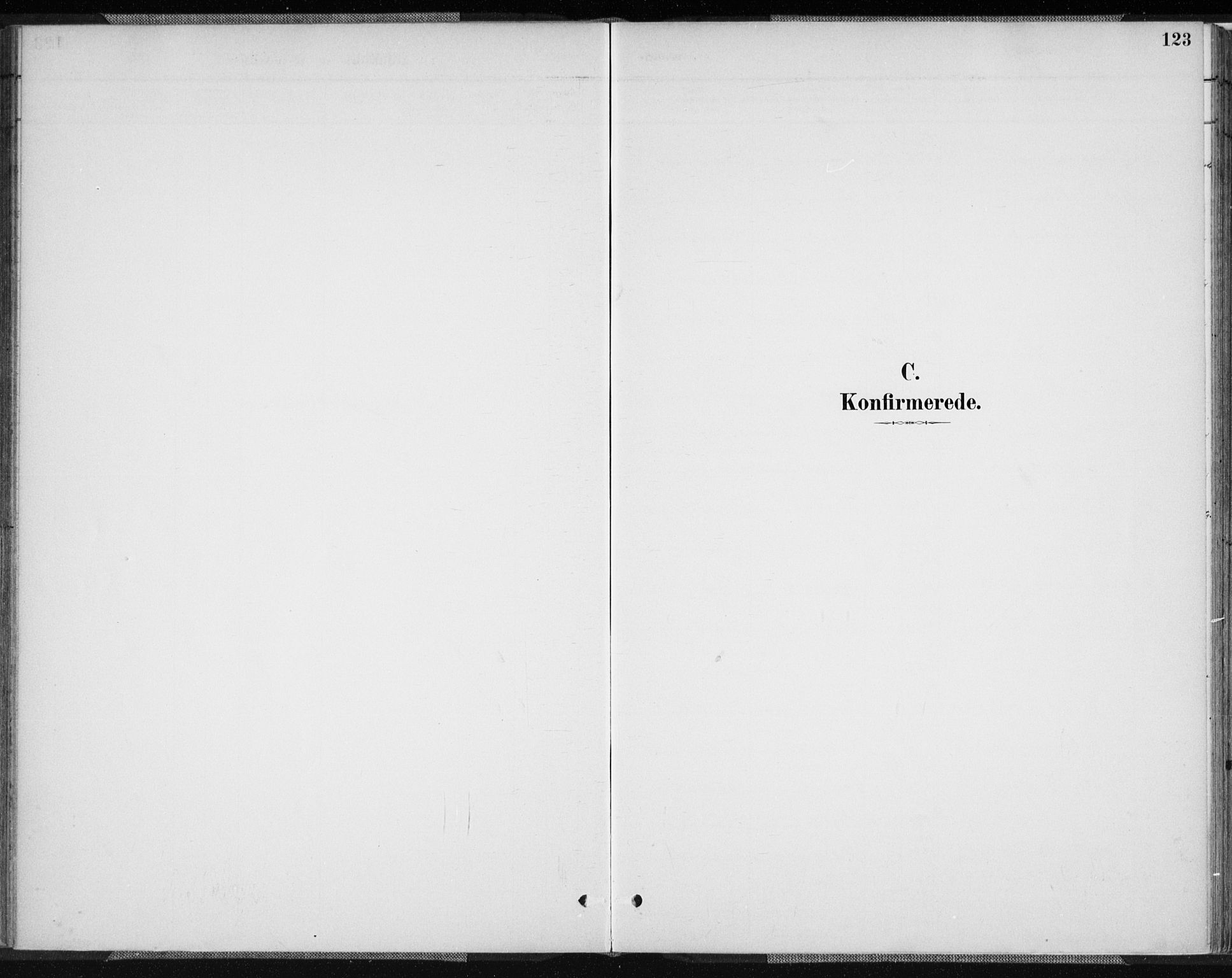 Vennesla sokneprestkontor, SAK/1111-0045/Fa/Fab/L0004: Ministerialbok nr. A 4, 1884-1896, s. 123