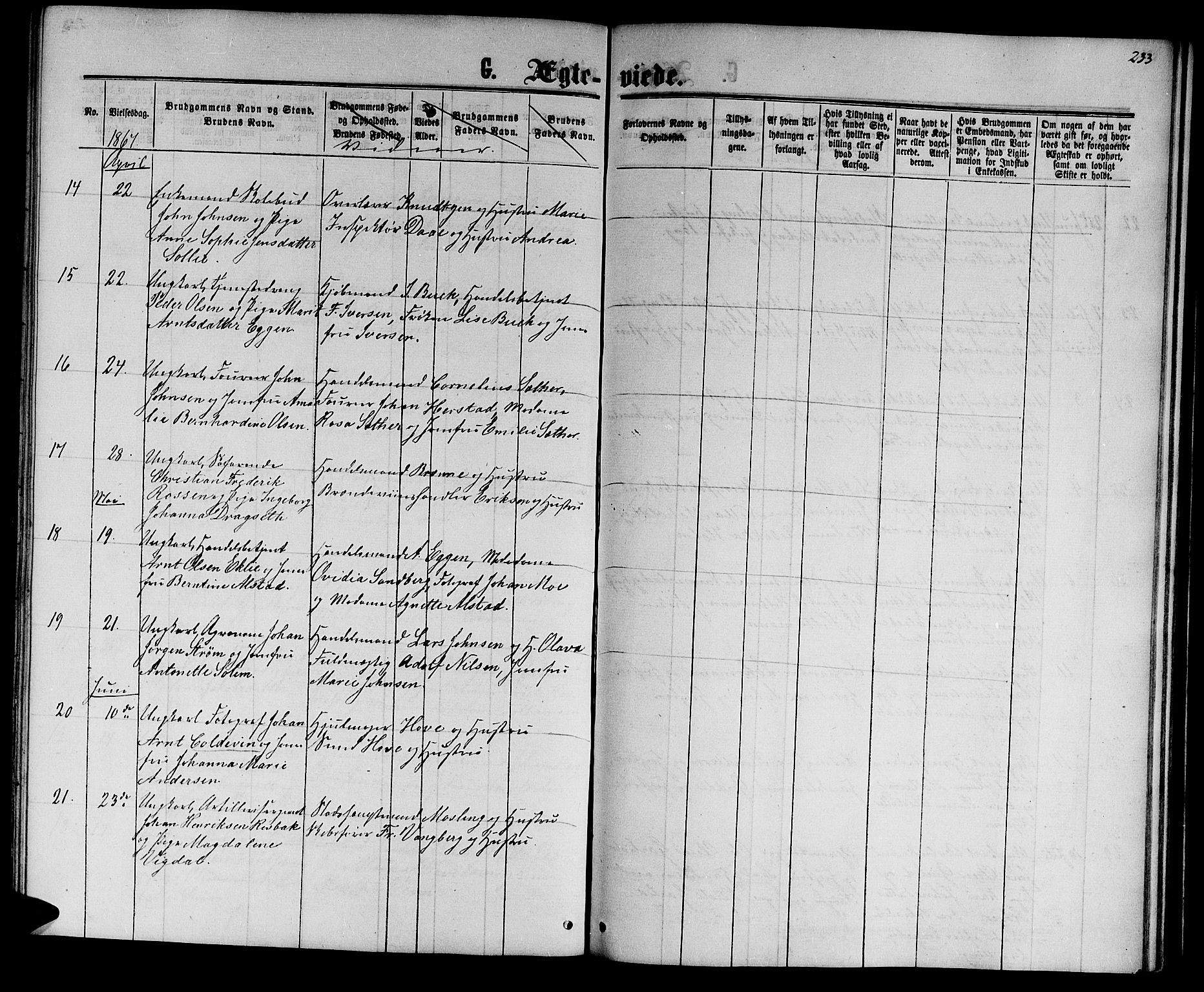 Ministerialprotokoller, klokkerbøker og fødselsregistre - Sør-Trøndelag, SAT/A-1456/601/L0087: Klokkerbok nr. 601C05, 1864-1881, s. 233