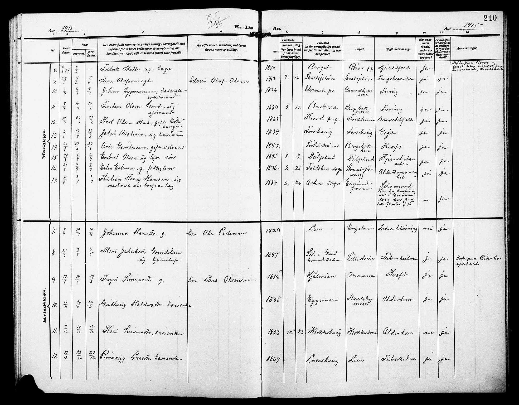 Alvdal prestekontor, SAH/PREST-060/H/Ha/Hab/L0005: Klokkerbok nr. 5, 1908-1923, s. 210