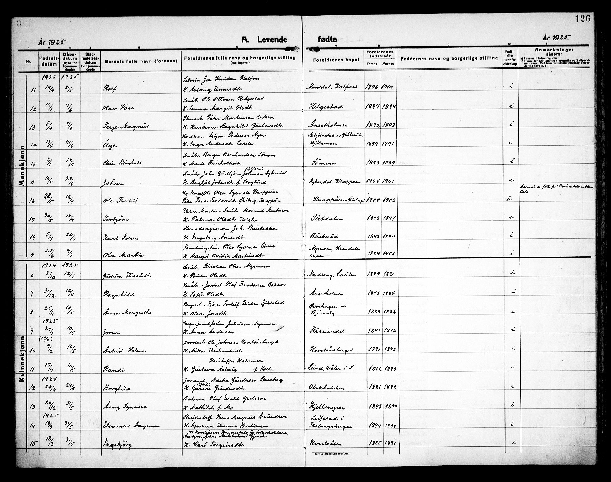 Åsnes prestekontor, AV/SAH-PREST-042/H/Ha/Haa/L0000C: Ministerialbok nr. 0A, 1890-1929, s. 126