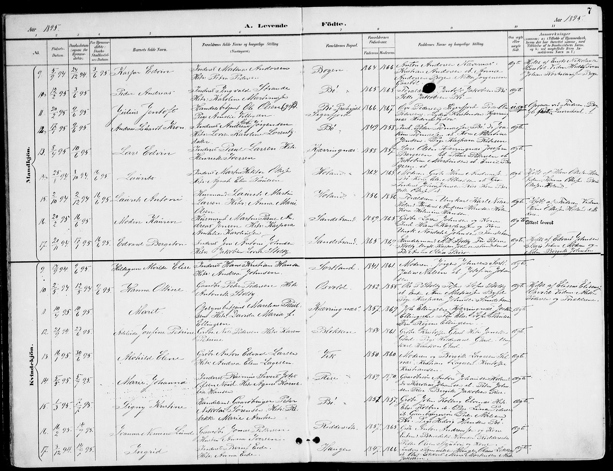 Ministerialprotokoller, klokkerbøker og fødselsregistre - Nordland, AV/SAT-A-1459/895/L1372: Ministerialbok nr. 895A07, 1894-1914, s. 7