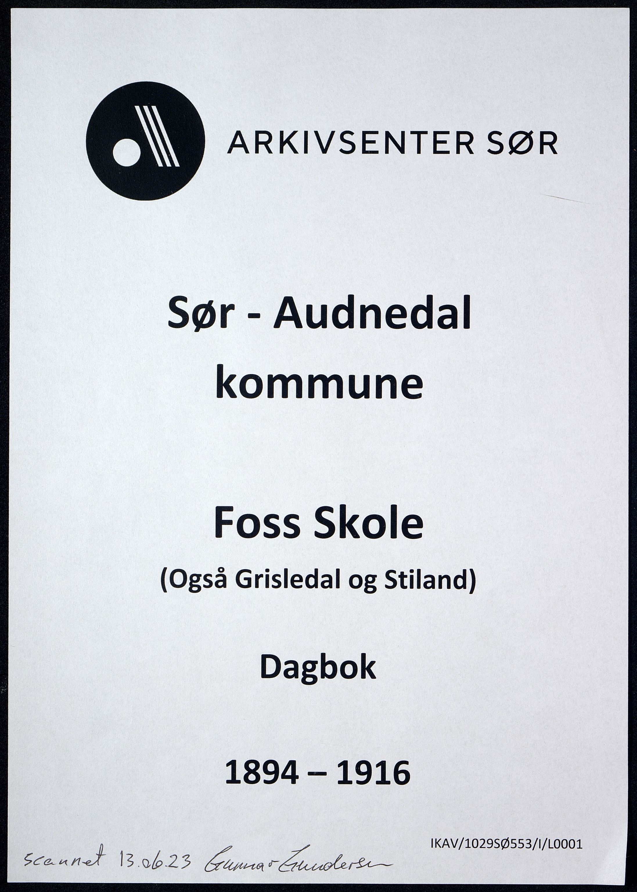 Sør-Audnedal kommune - Foss Skole, ARKSOR/1029SØ553/I/L0001: Dagbok, 1894-1916