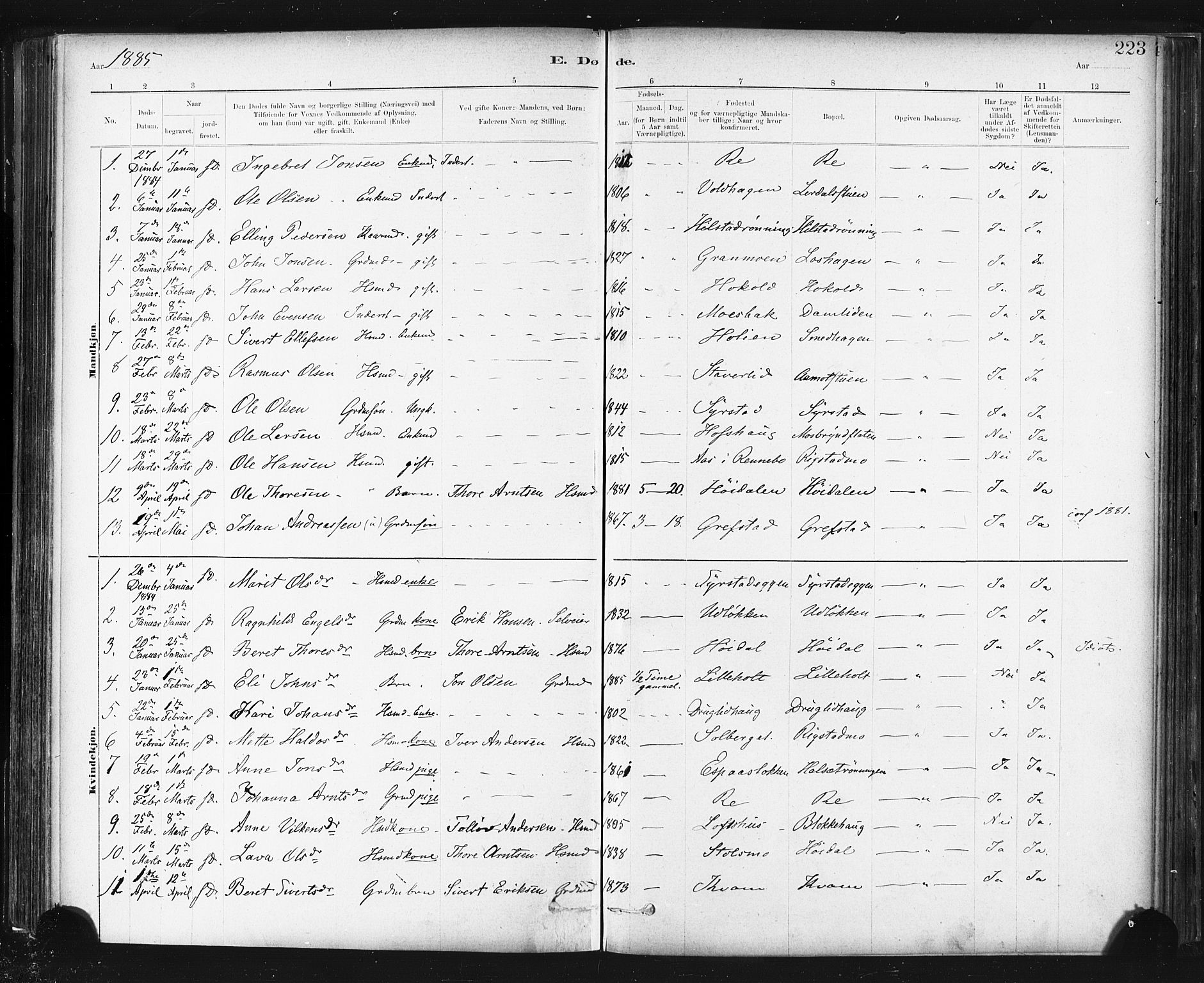 Ministerialprotokoller, klokkerbøker og fødselsregistre - Sør-Trøndelag, AV/SAT-A-1456/672/L0857: Ministerialbok nr. 672A09, 1882-1893, s. 223