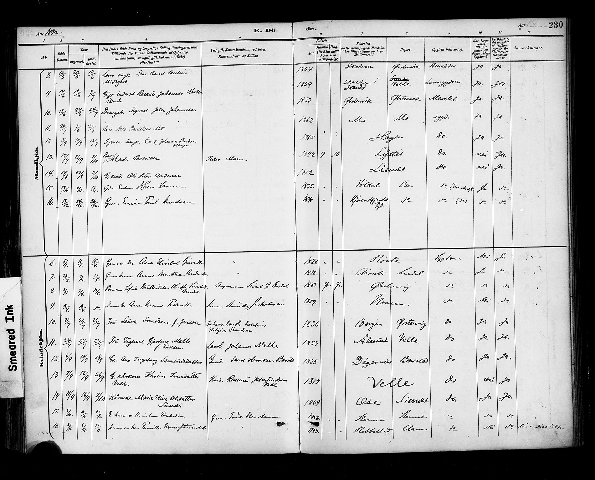 Ministerialprotokoller, klokkerbøker og fødselsregistre - Møre og Romsdal, AV/SAT-A-1454/513/L0177: Ministerialbok nr. 513A04, 1890-1906, s. 230