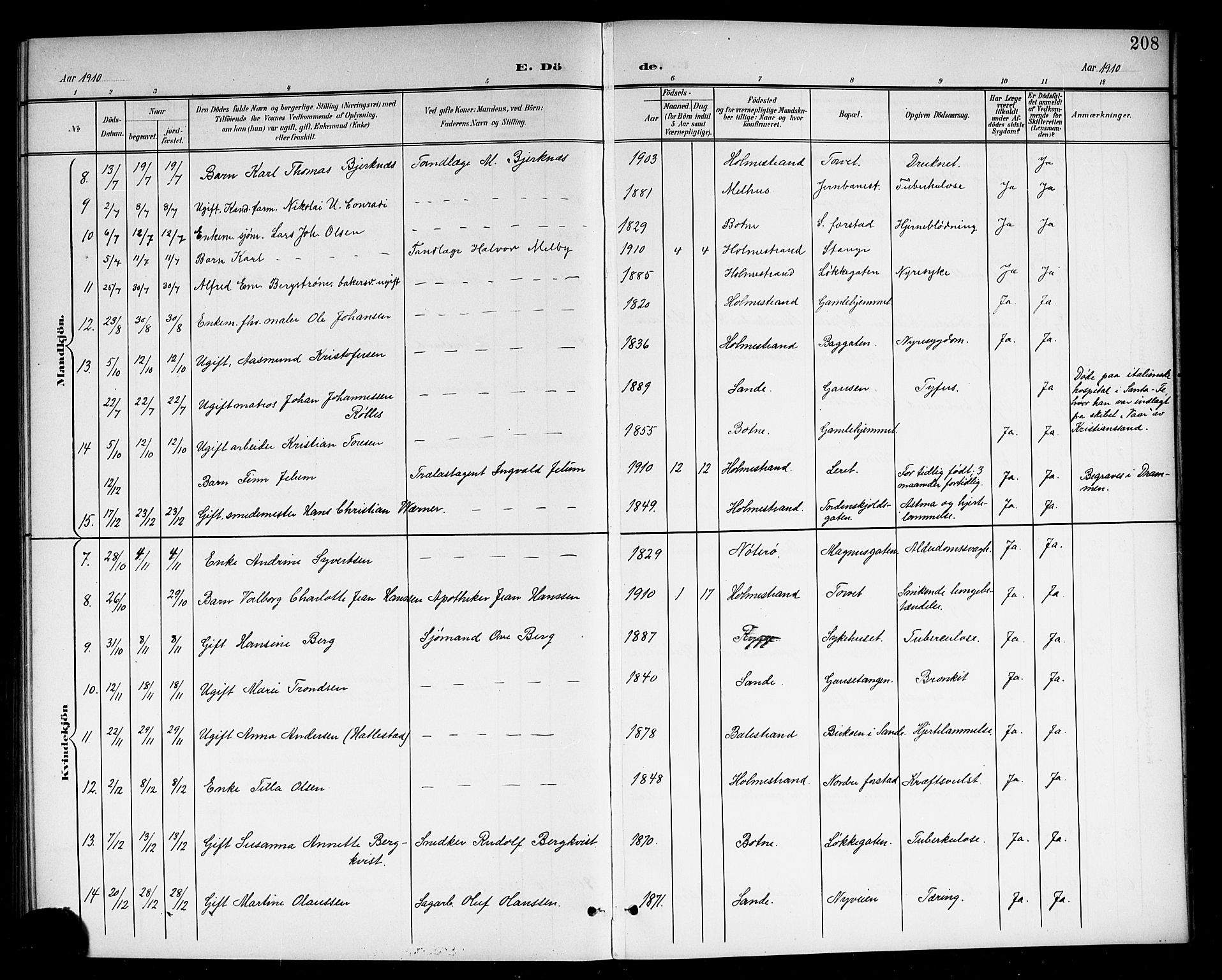 Holmestrand kirkebøker, AV/SAKO-A-346/G/Ga/L0006: Klokkerbok nr. 6, 1901-1923, s. 208